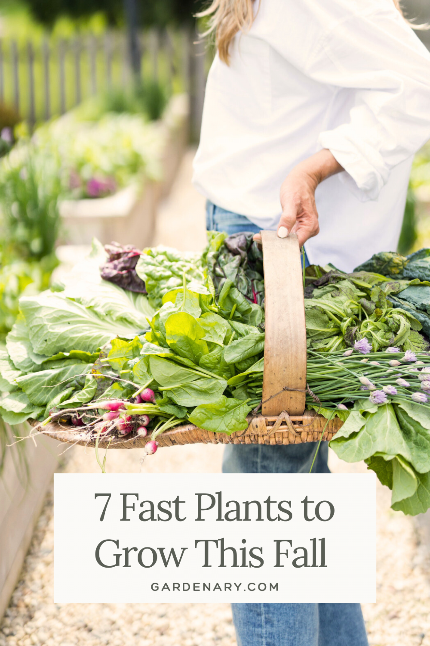 7 Fast Plants to Grow This Fall pin