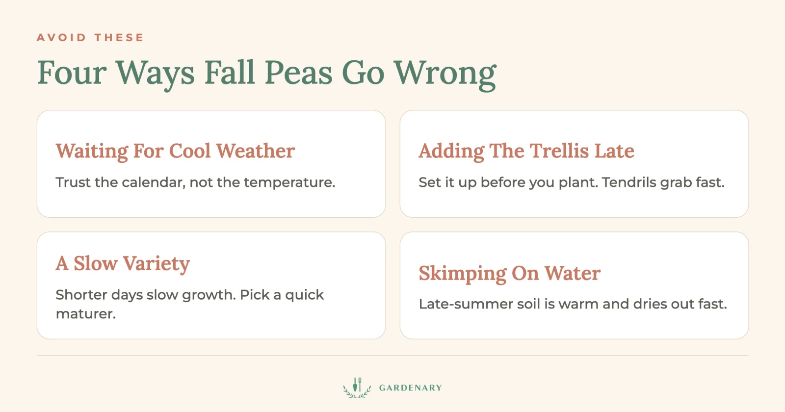 infographic of 4 ways fall peas go wrong