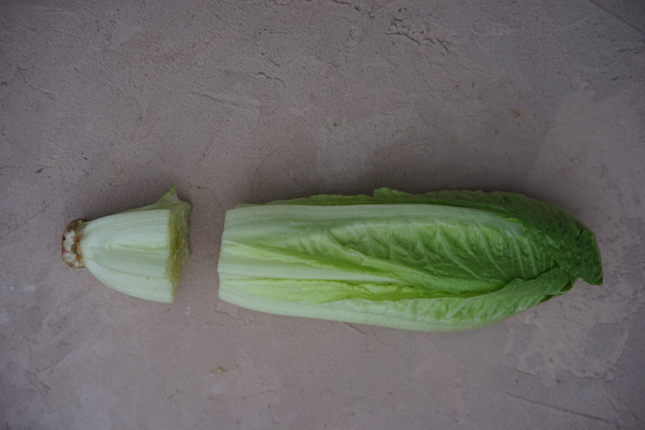 how to cut romaine lettuce to regrow it