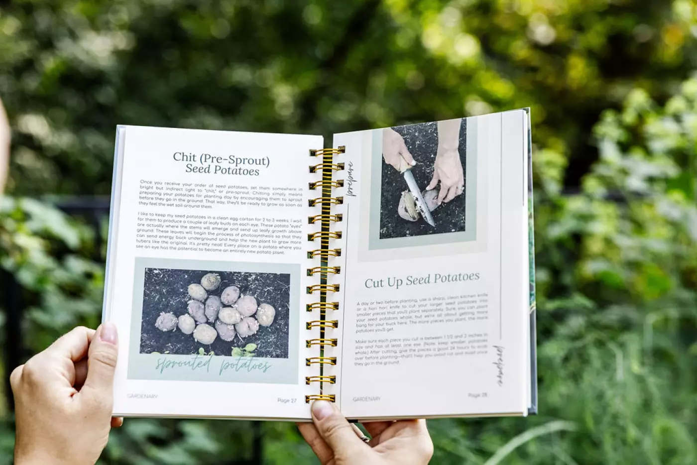 A gardenary seasonal garden planner opened to a page that teaches how to sprout seed potatoes and cut up seed potatoes.