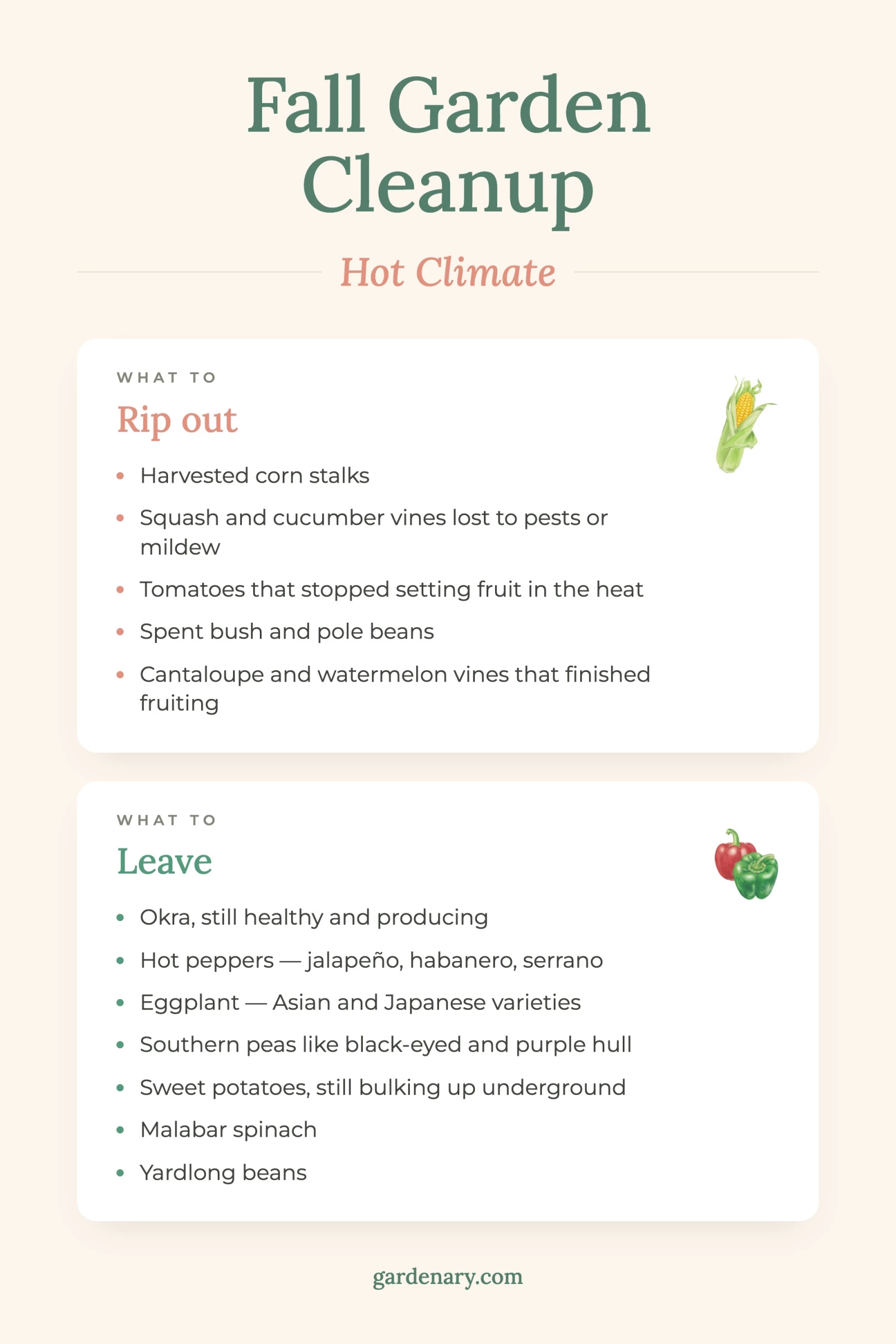 Hot climate infographic