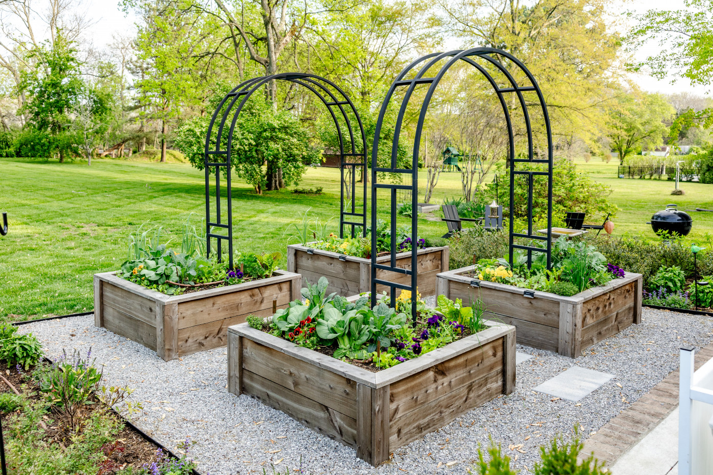 how to start a backyard garden