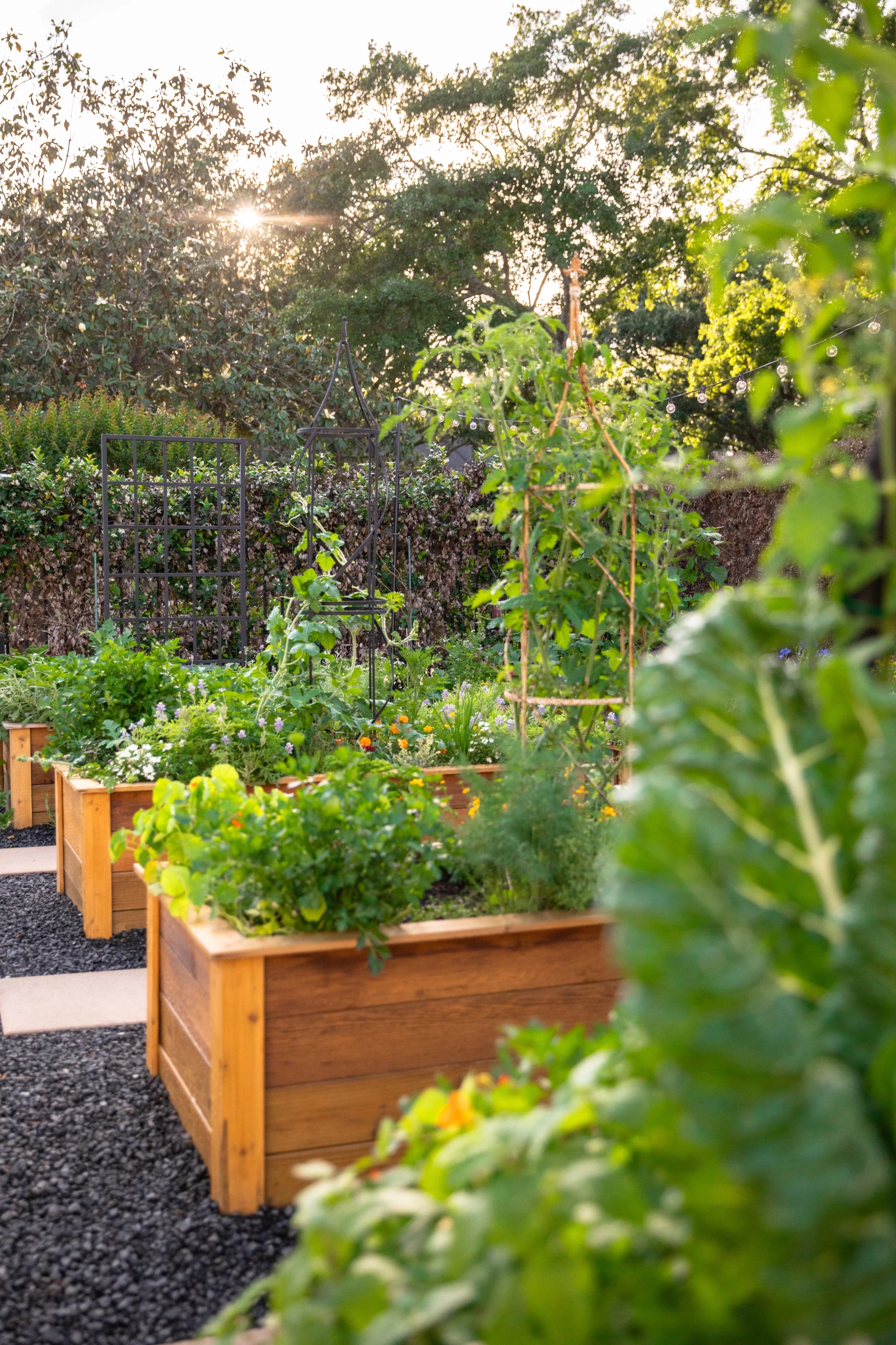 How Will Design The Kitchen Garden At Margaret Carlin Blog