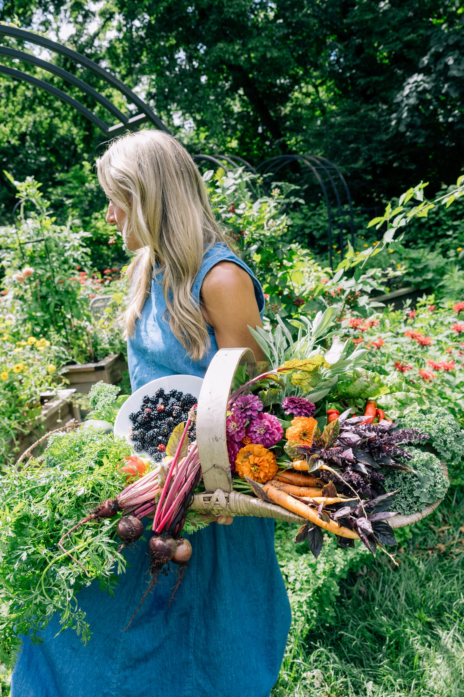 Nicole Burke's Garden