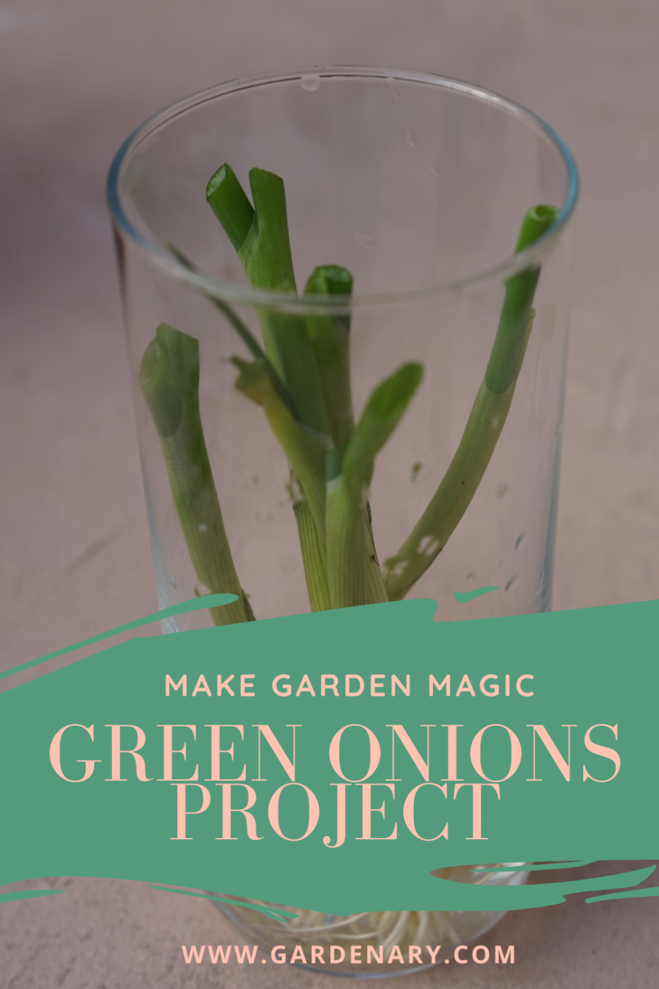 Make Garden Magic - Green Onions Project