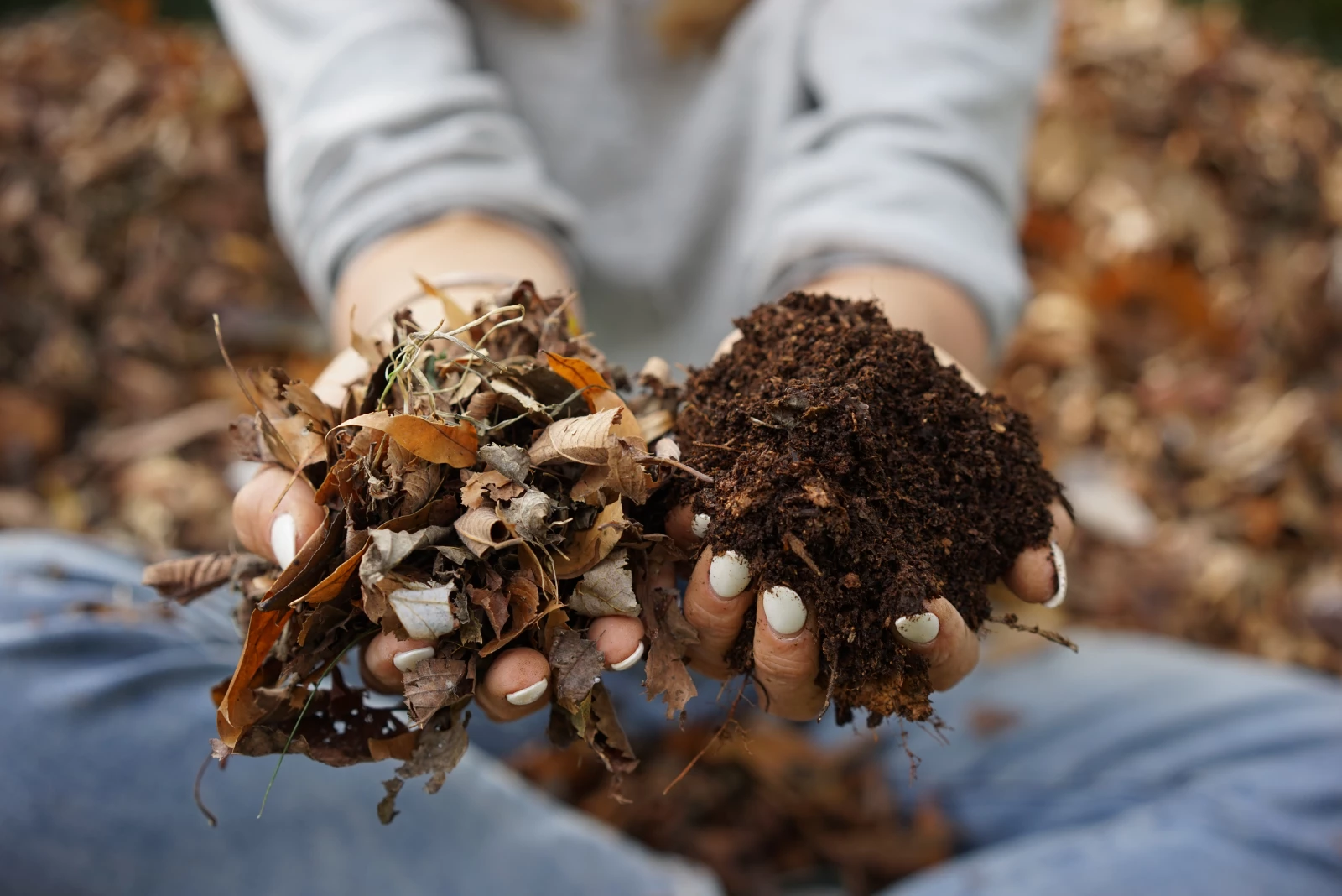 What Leaves Should You Not Compost A Comprehensive Guide To Safe
