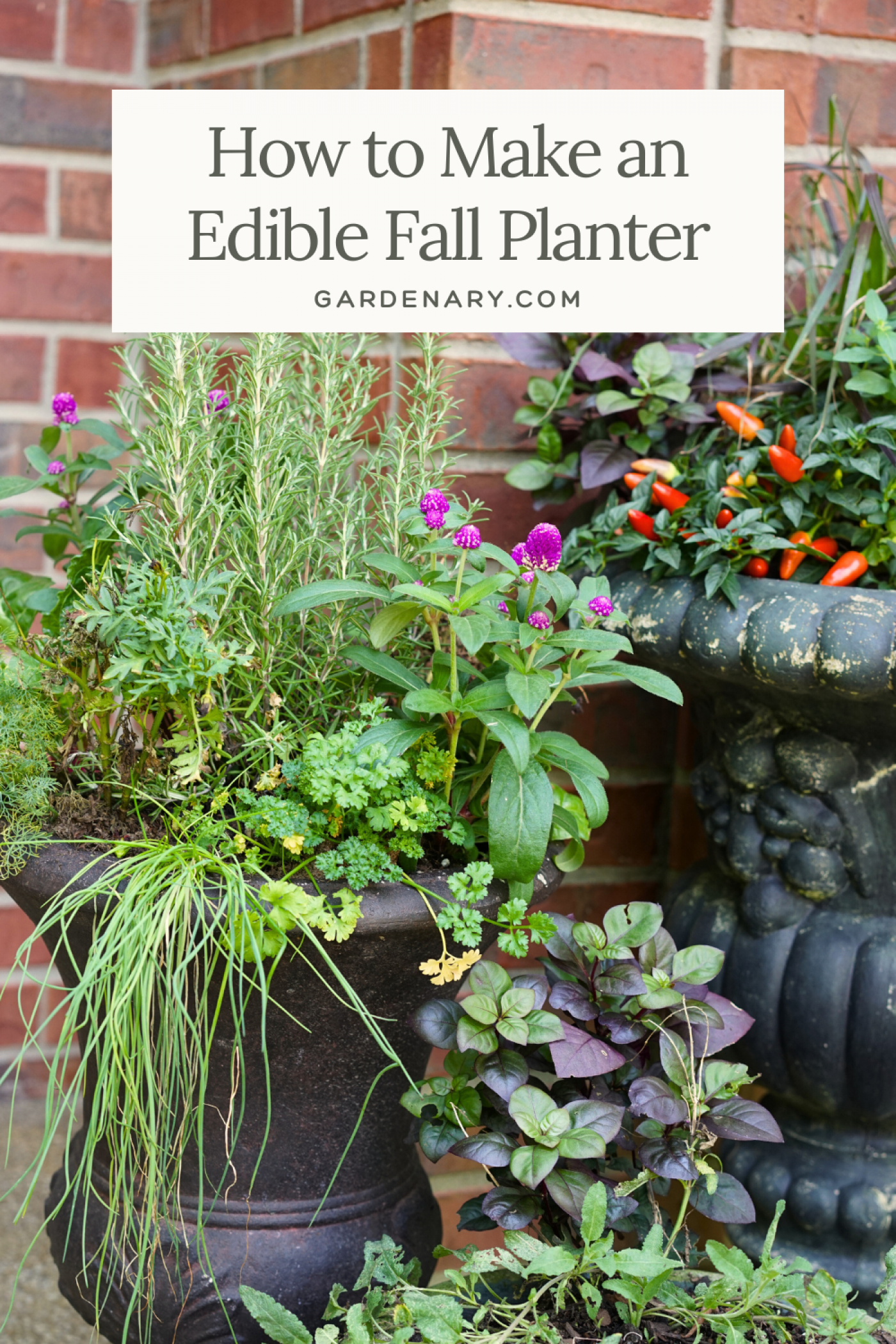 how to make an edible fall planter pin