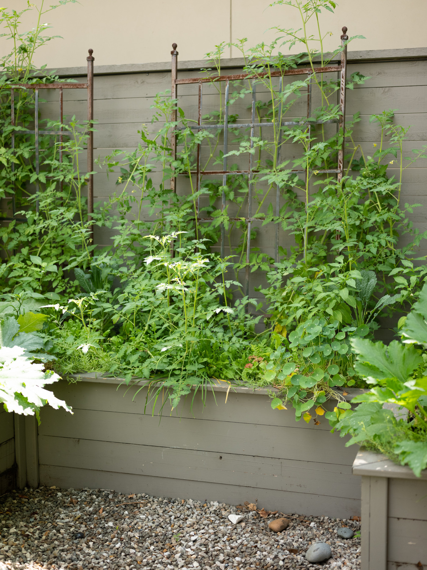 garden with gray stained cedar garden bed with panel trellises
