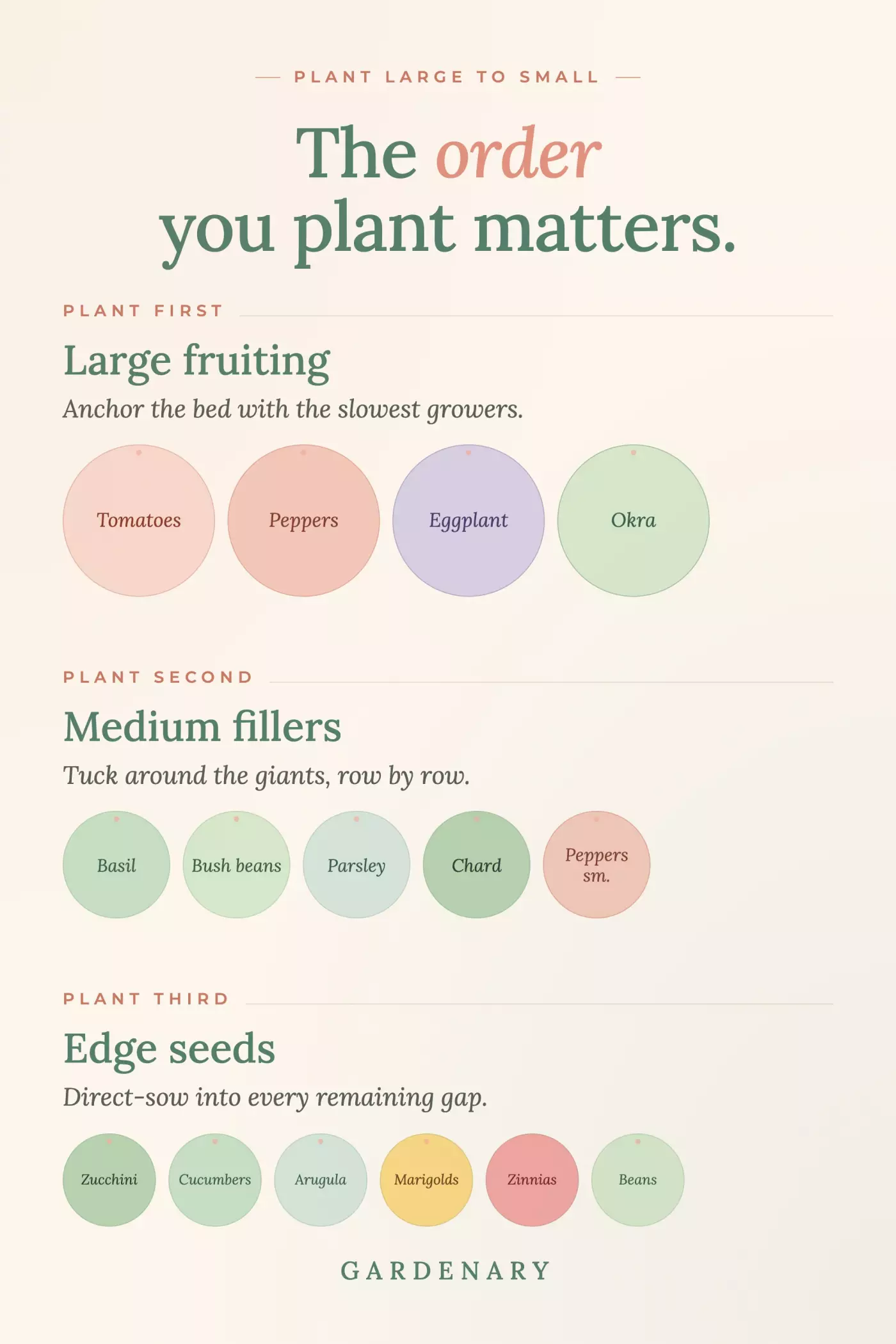 Gardenary infographic titled 'The order you plant matters' showing a large-to-small planting sequence. Plant first: large fruiting plants — tomatoes, peppers, eggplant, okra — to anchor the bed with the slowest growers. Plant second: medium fillers — basil, bush beans, parsley, chard, small peppers — tucked around the giants row by row. Plant third: edge seeds — zucchini, cucumbers, arugula, marigolds, zinnias, beans — direct-sown into every remaining gap.