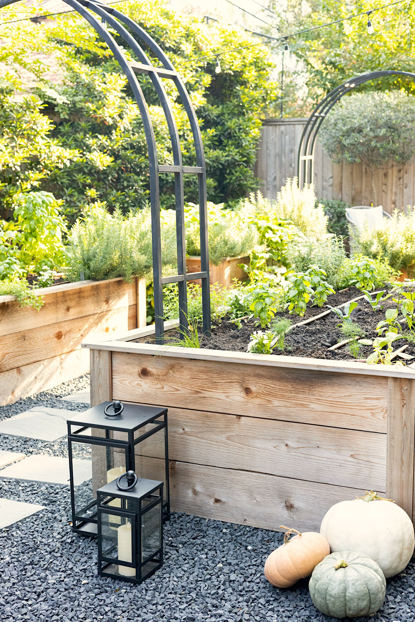 how to transition garden from summer to fall