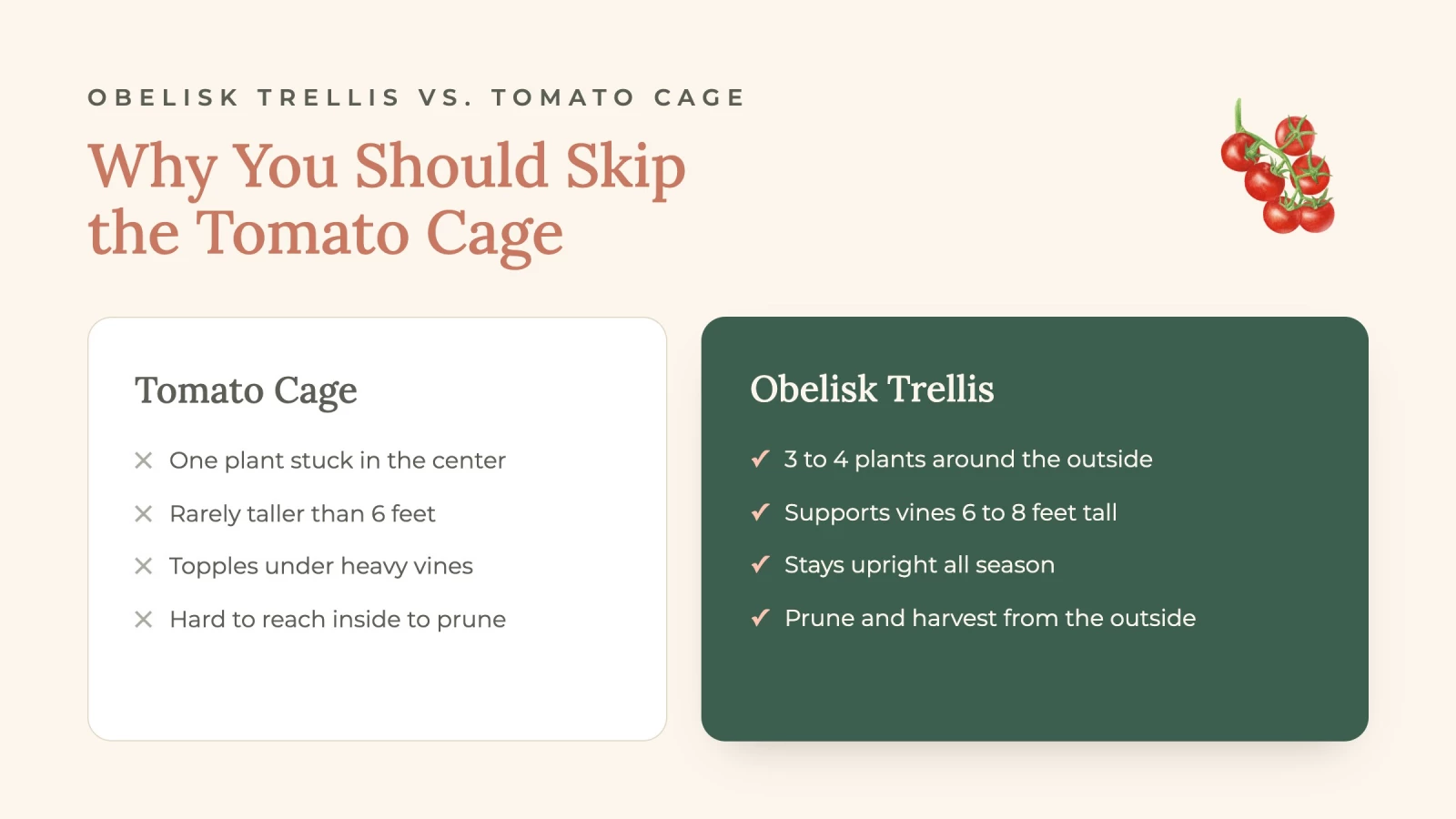 why you should skip the tomato cage graphic