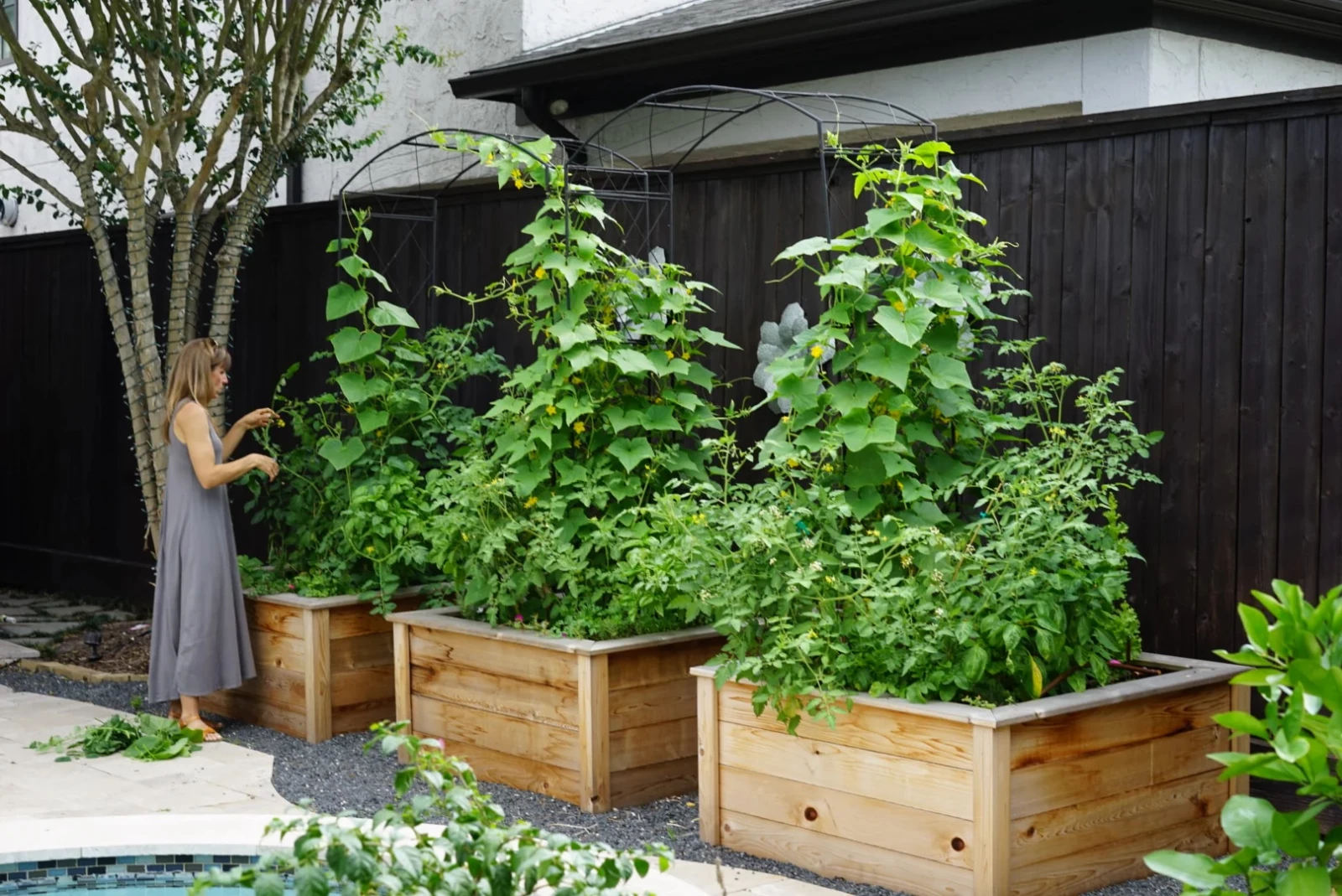 nicole with a cedar raised bed