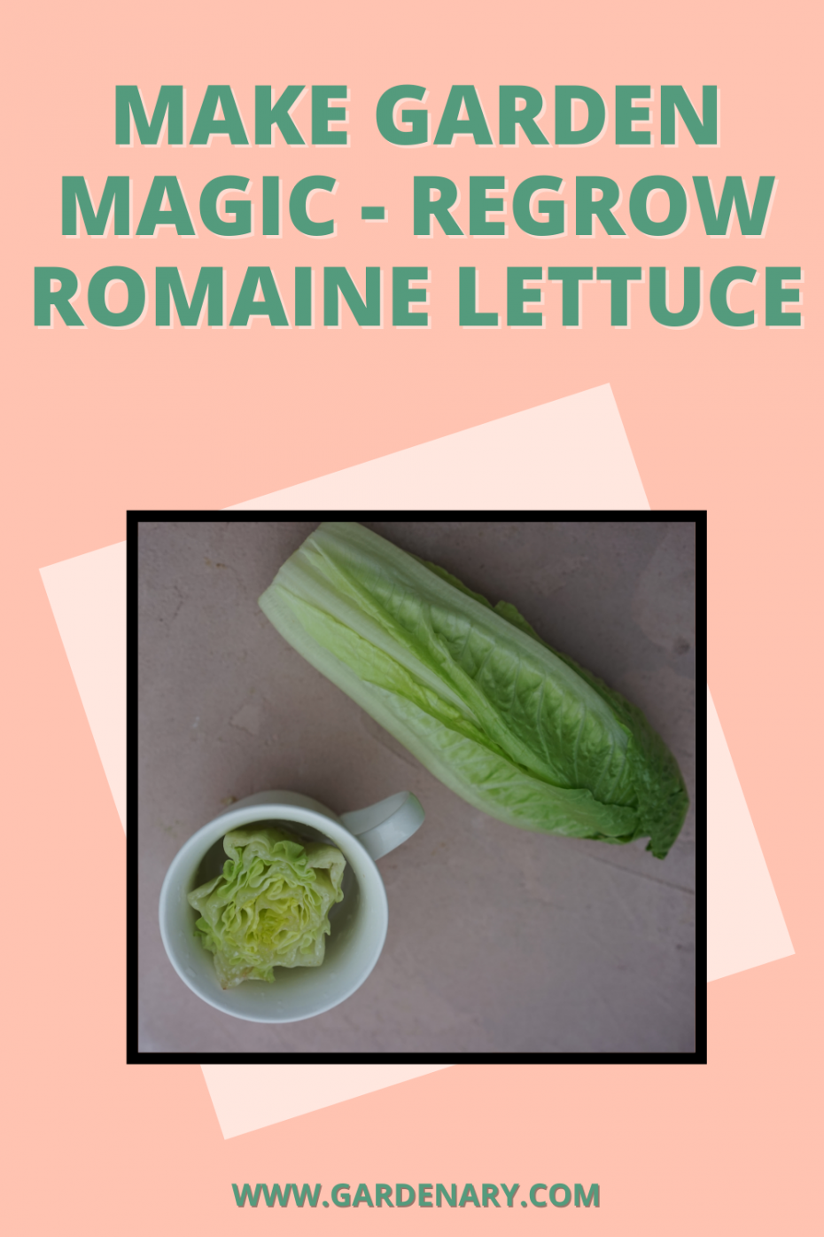 Make Garden Magic - Regrow Romaine Lettuce
