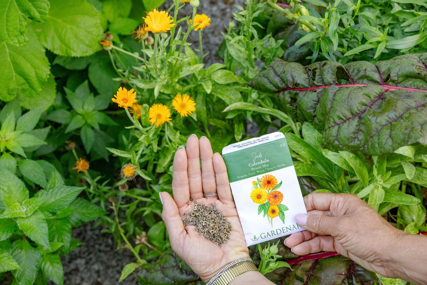 calendula seeds