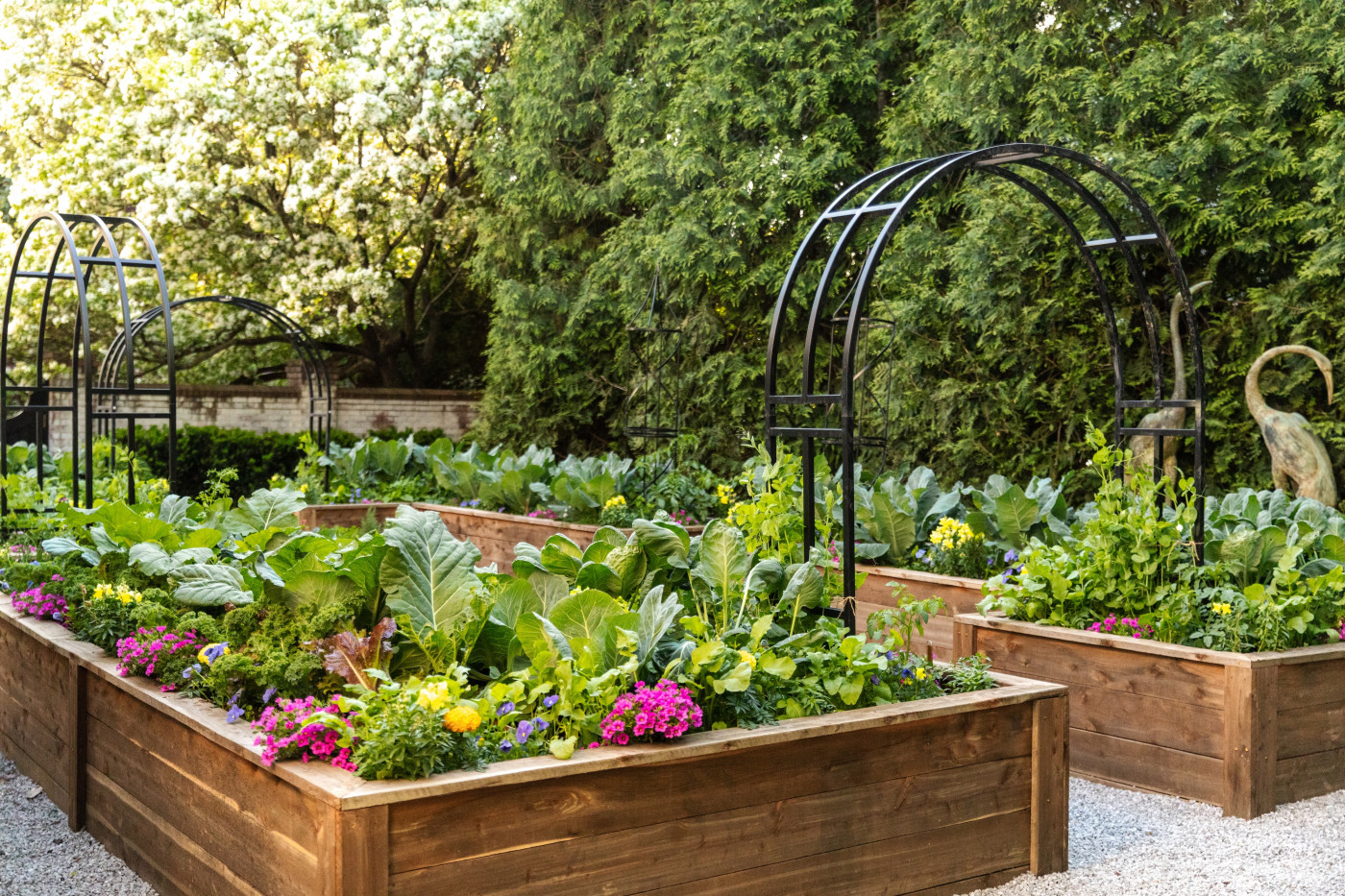 Raised cedar garden beds filled with lush leafy greens, colorful flowers, and trellises, creating a vibrant and abundant backyard garden.