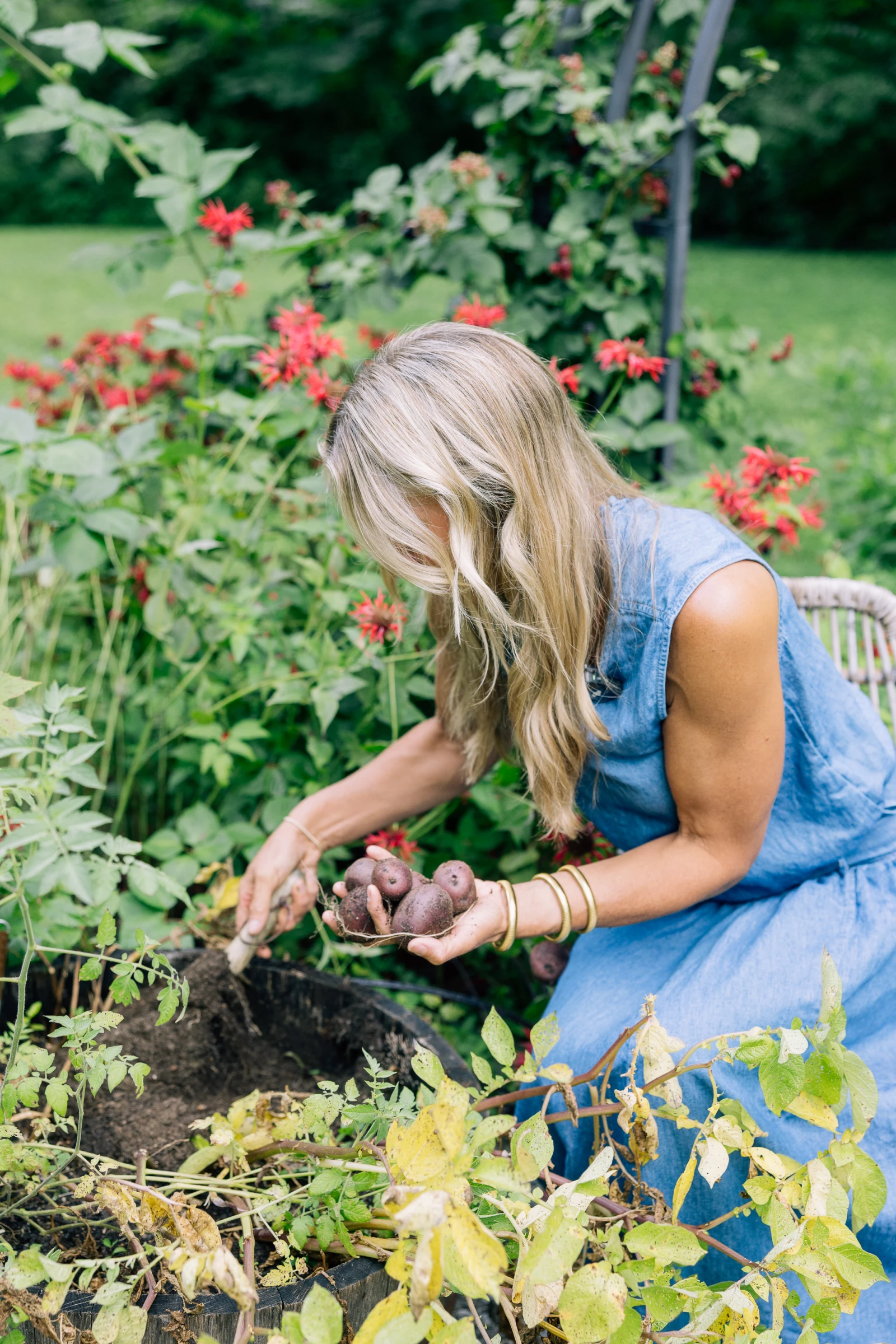 Nicole Burke Harvesting Potatoes