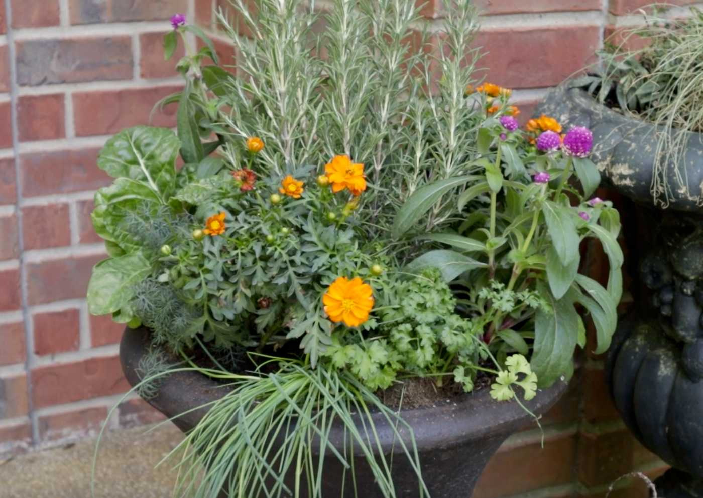 fall planter with edible plants