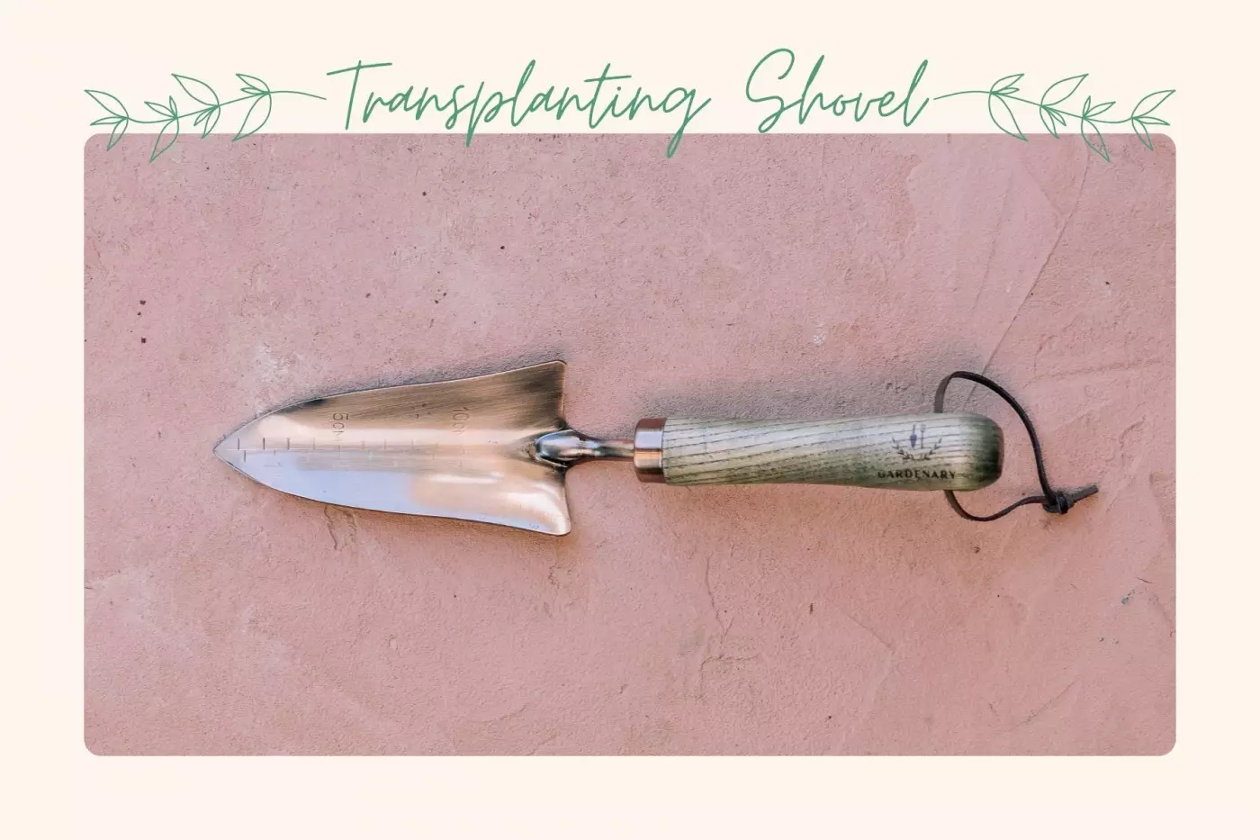 Transplanting Shovel