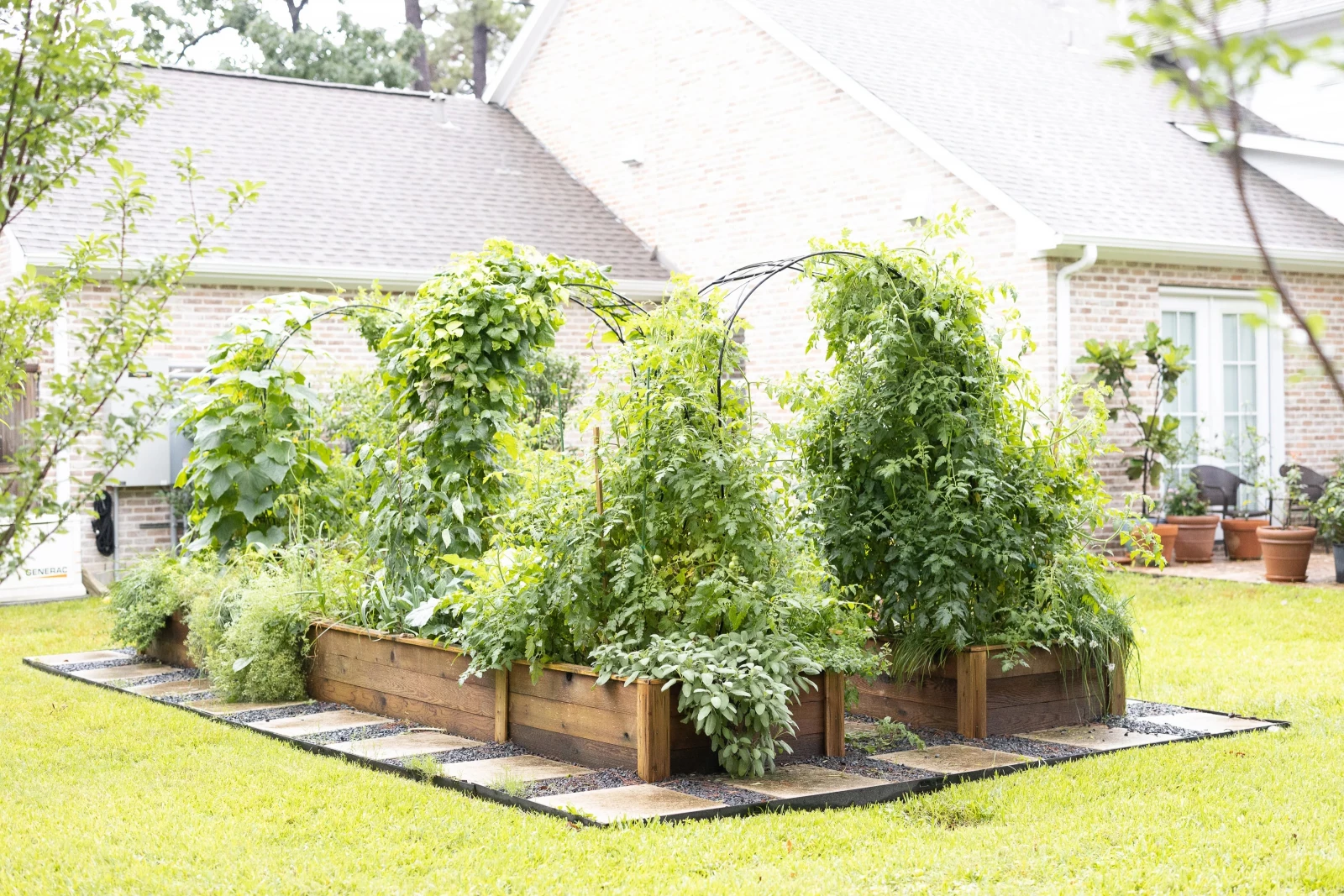 arch trellis for the garden ideas