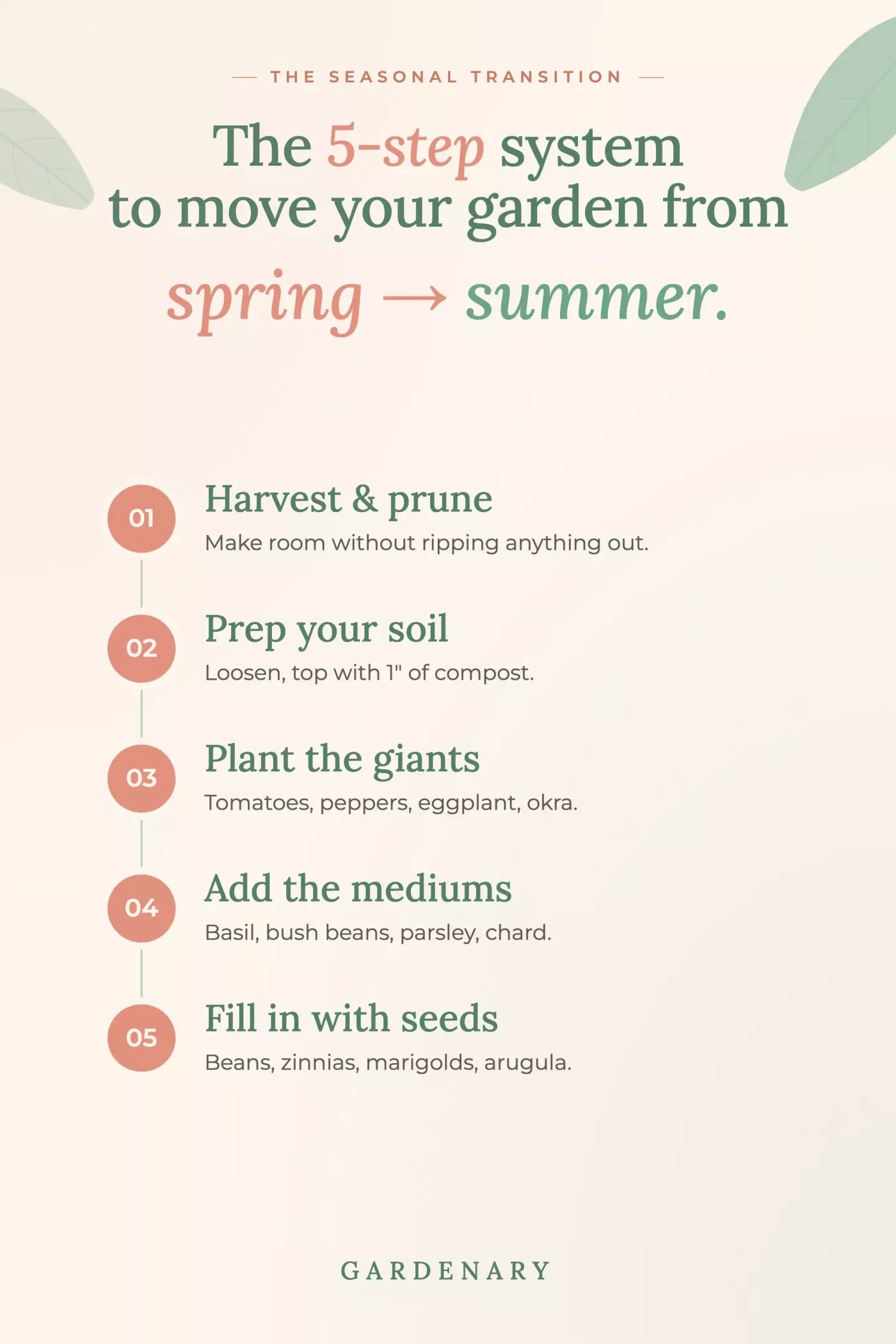 Gardenary infographic showing a 5-step seasonal transition system. Step 1: Harvest and prune — make room without ripping anything out. Step 2: Prep your soil — loosen and top with one inch of compost. Step 3: Plant the giants — tomatoes, peppers, eggplant, okra. Step 4: Add the mediums — basil, bush beans, parsley, chard. Step 5: Fill in with seeds — beans, zinnias, marigolds, arugula.