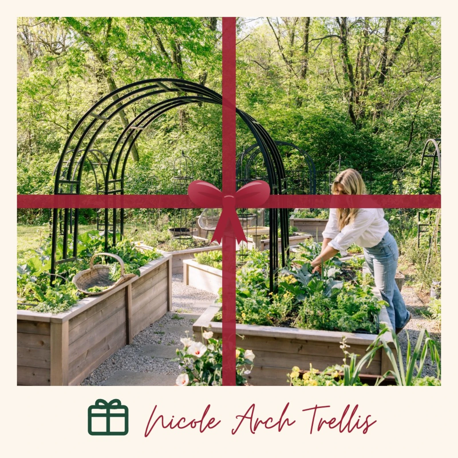 nicole arch trellis