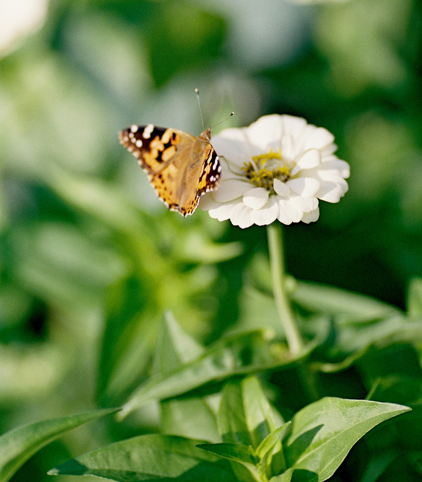 договор по замене двери на противопожарную