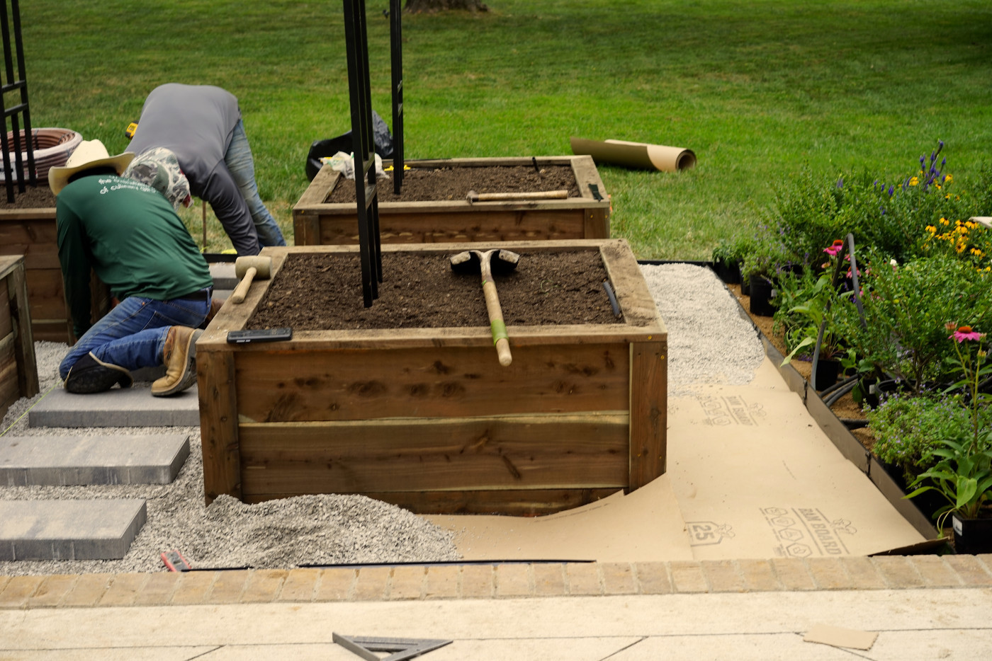 kitchen garden pathway being created between cedar raised beds