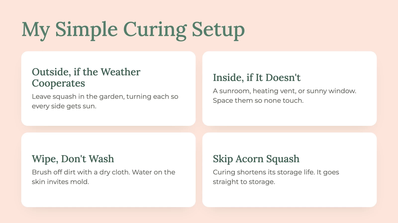 infographic about curing pumpkins and squash