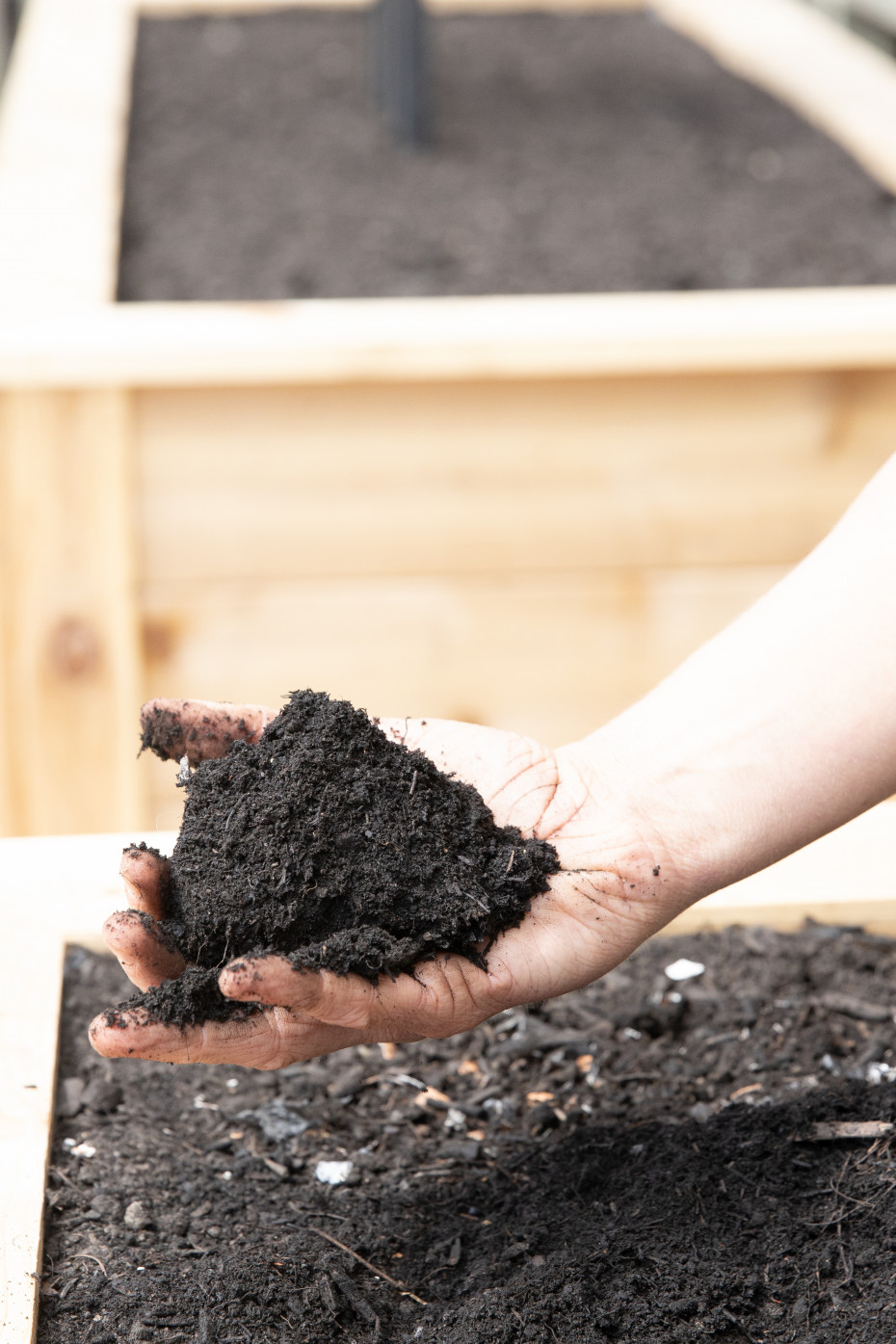 The Complete Guide to Raised Beds • Gardenary