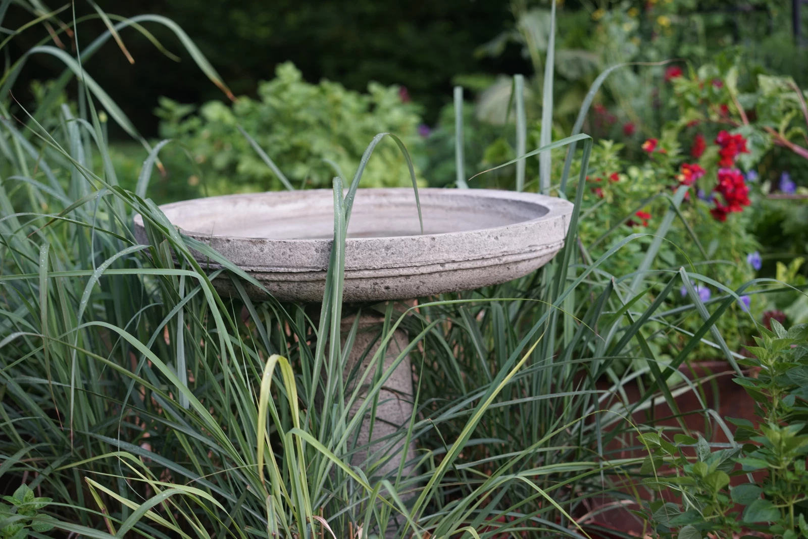 birdbath
