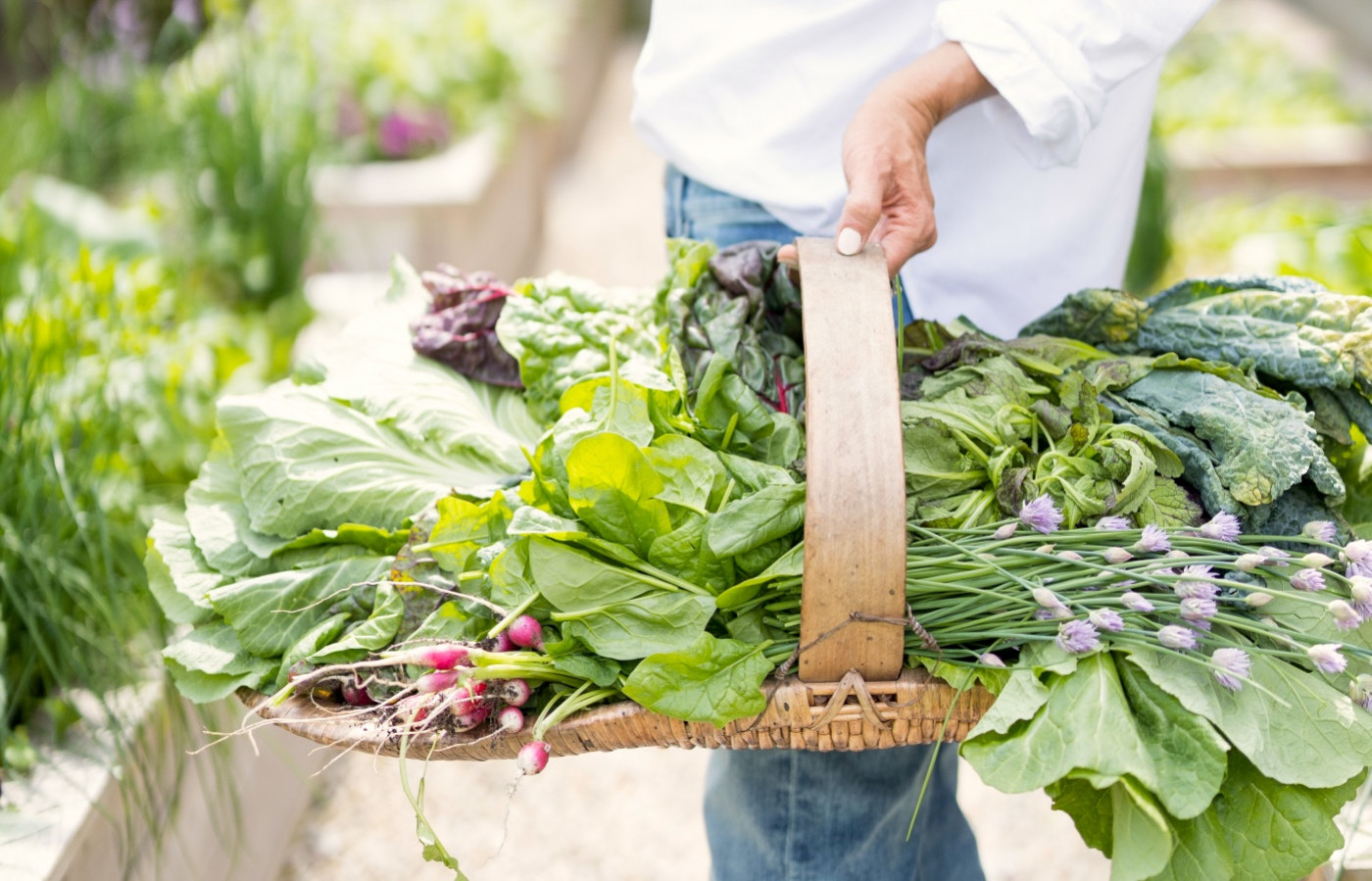 7 fast plants to grow in the fall