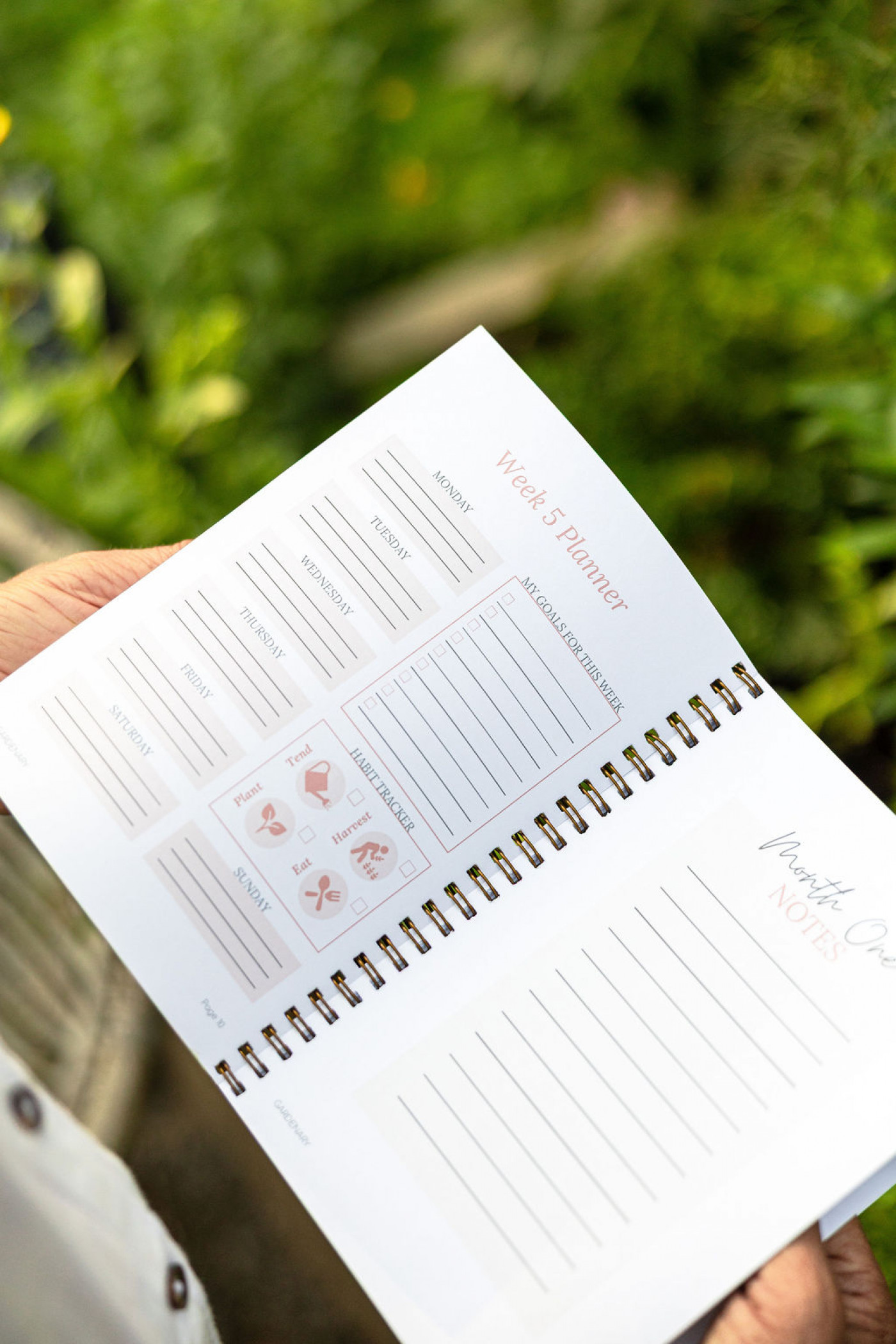 person holding garden planner in garden