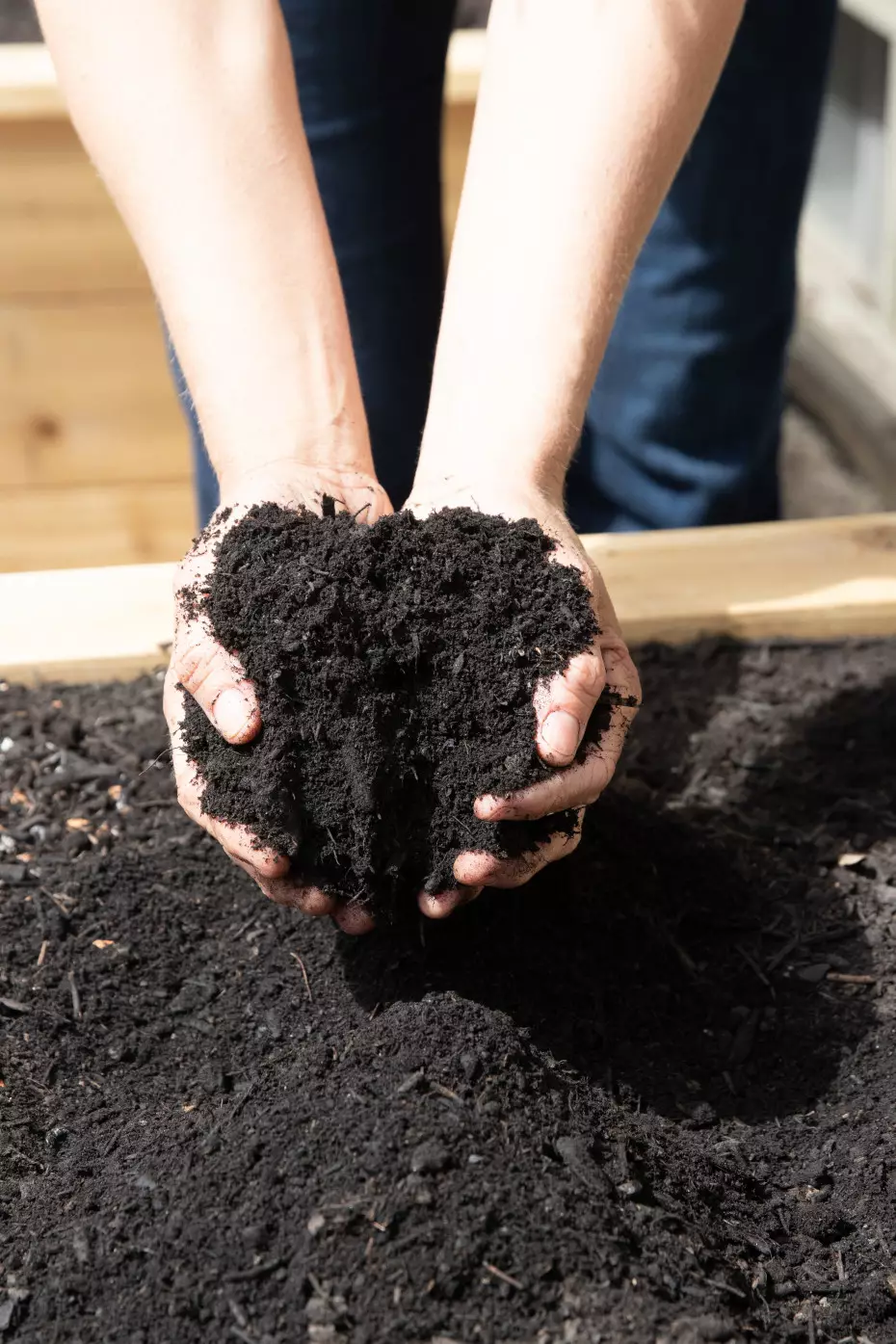 Soil in the Kitchen Garden