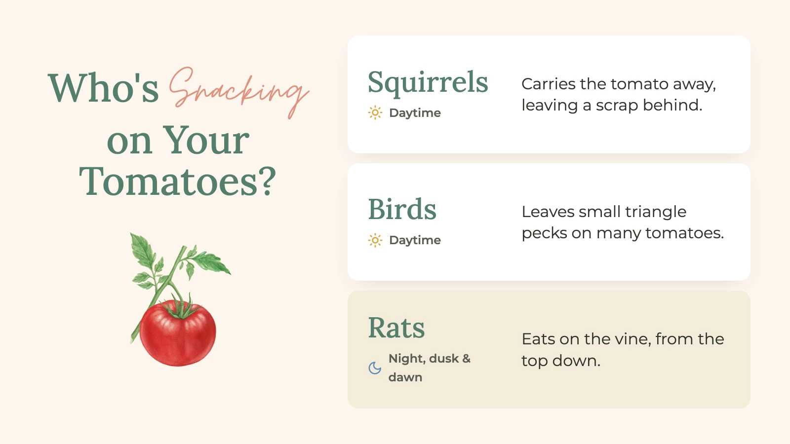 infographic about who is snacking in your garden
