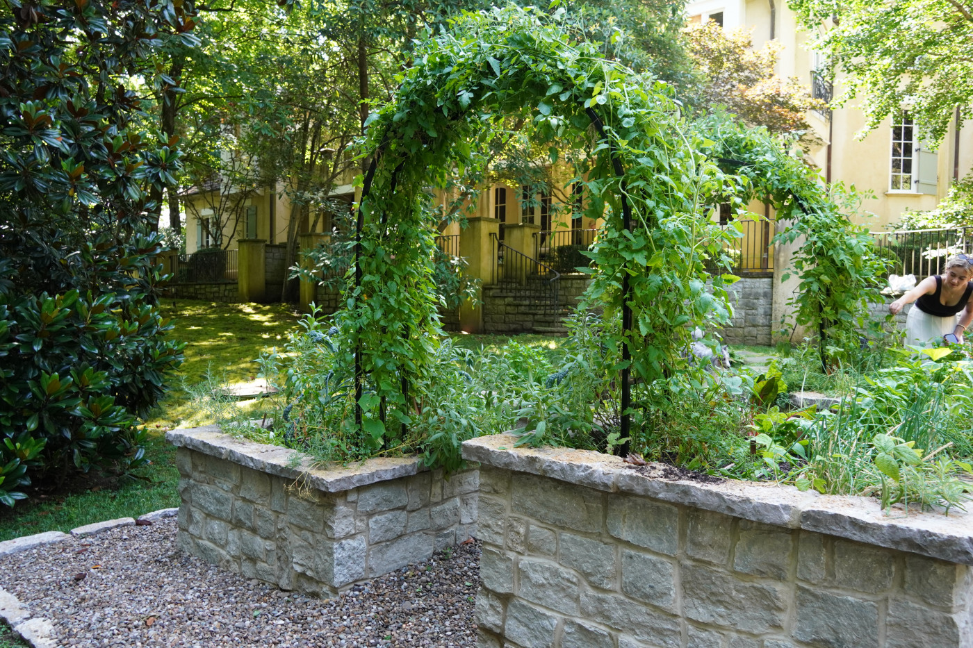 an arch trellis in a raised bed design