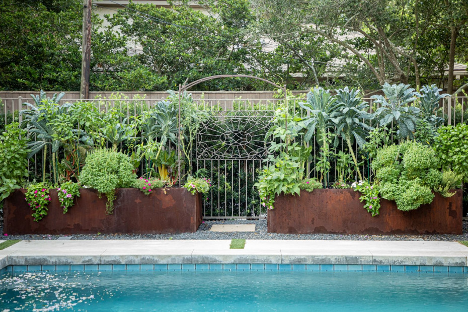 5 Questions To Ask Your Garden Consultant