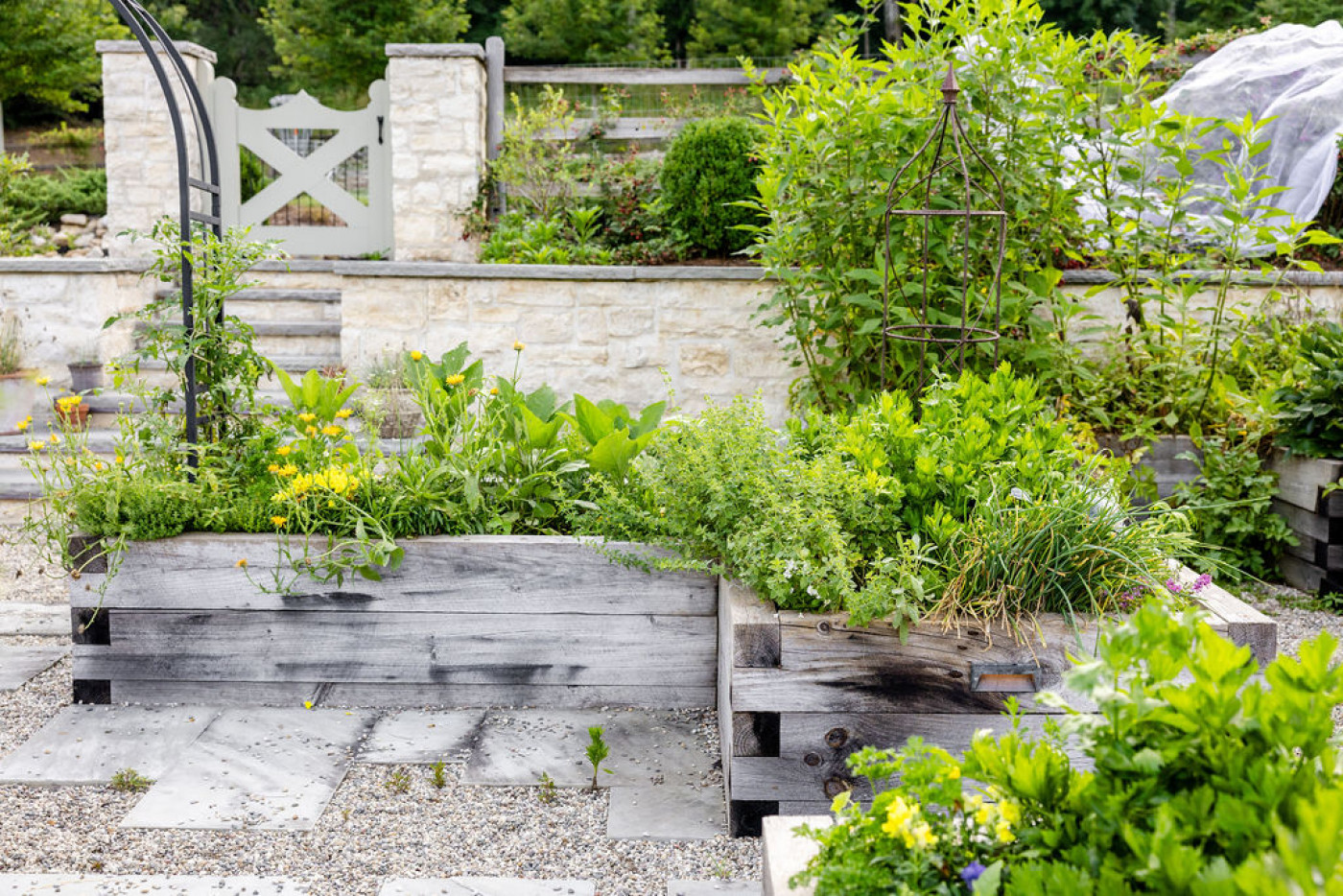 Tiered raised garden beds filled with herbs, greens, and flowering plants beside a stone garden wall and gate.