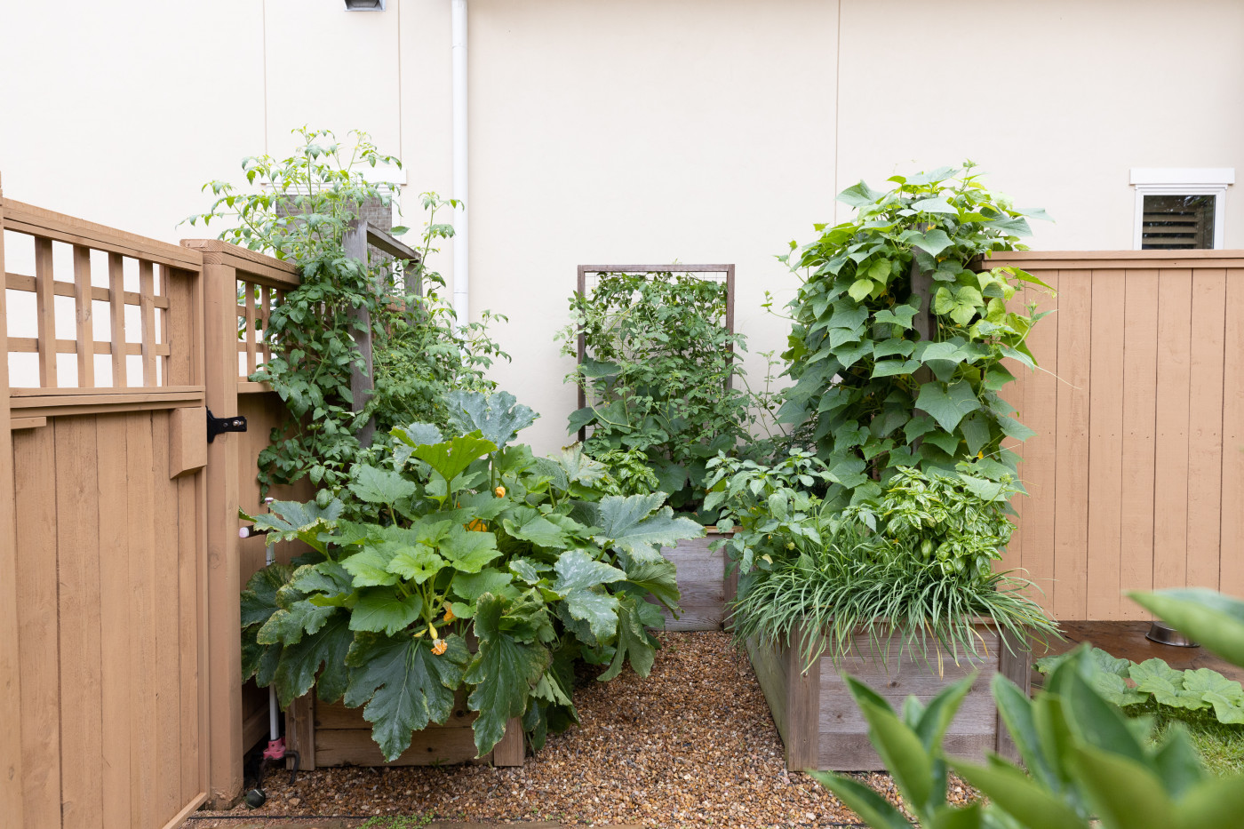 keyhole garden with cedar raised beds nestled against home