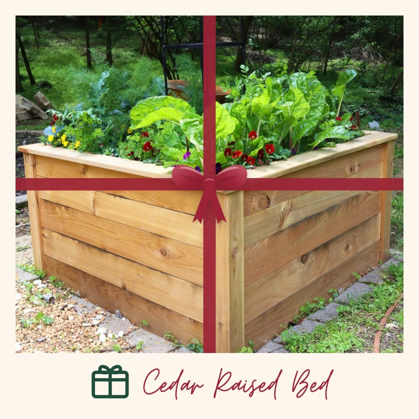 cedar raised bed