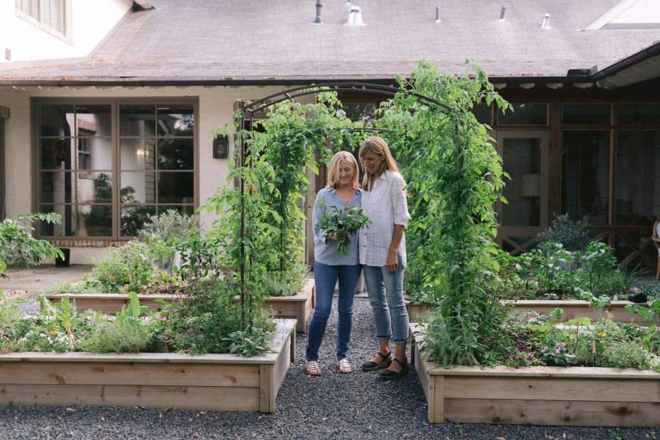 5 Questions To Ask Your Garden Consultant