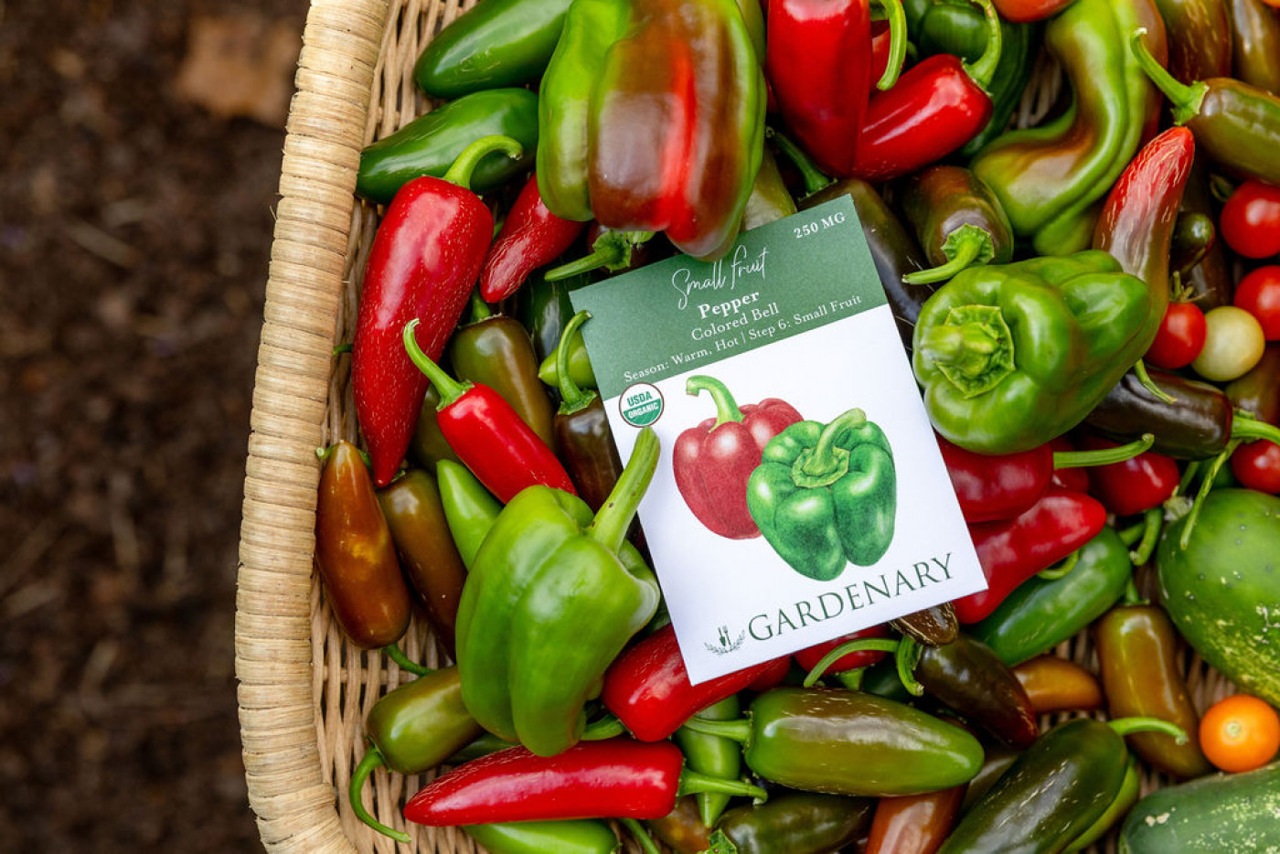 bell peppers in harvest basket
