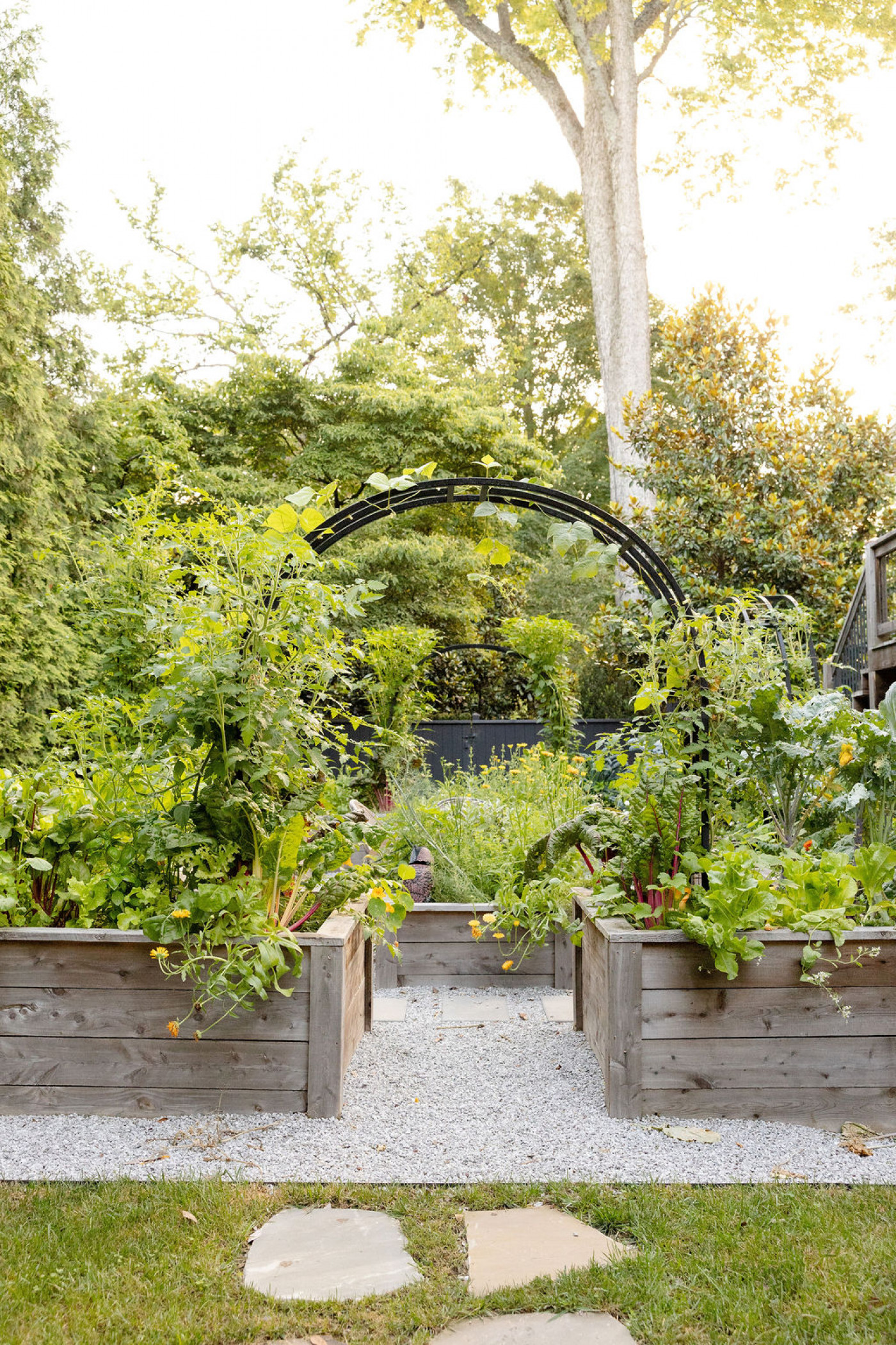 An arch trellis in a garden