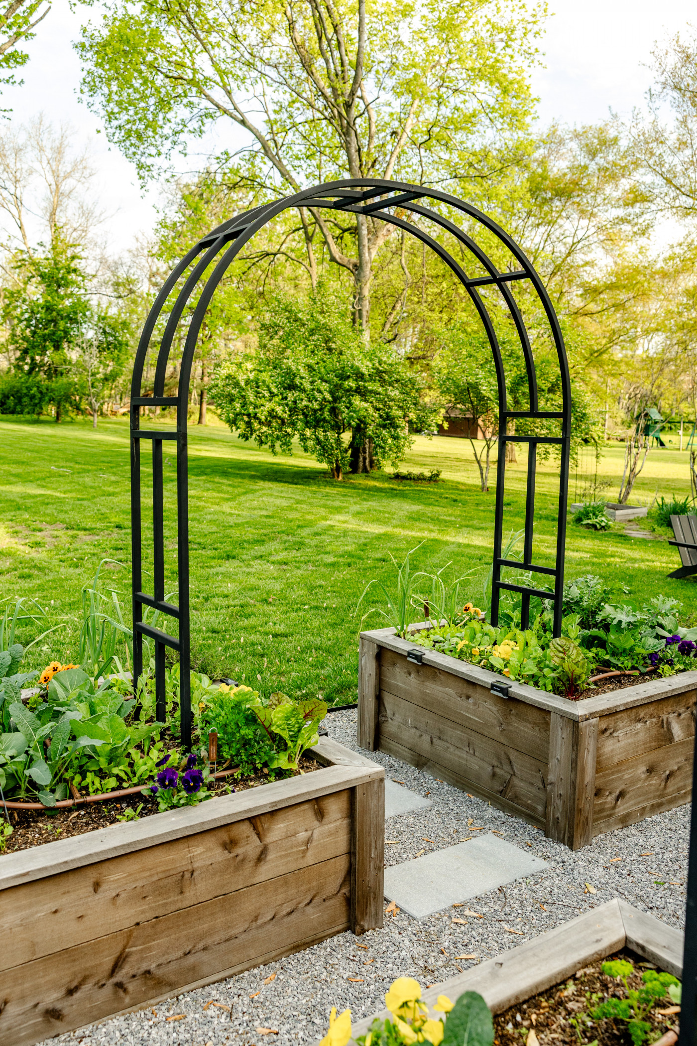 The Nicole arch trellis in a cedar raised bed