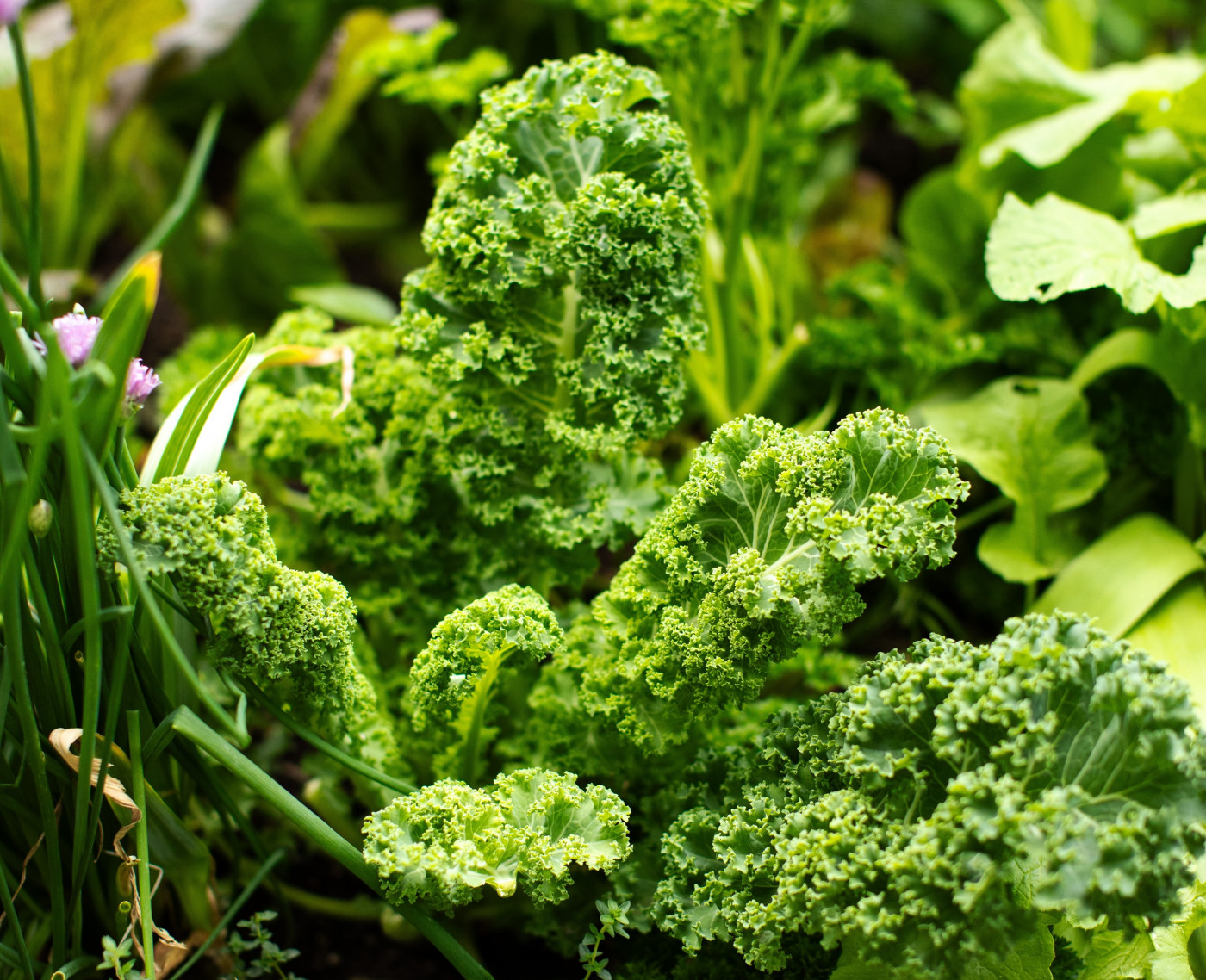 kale