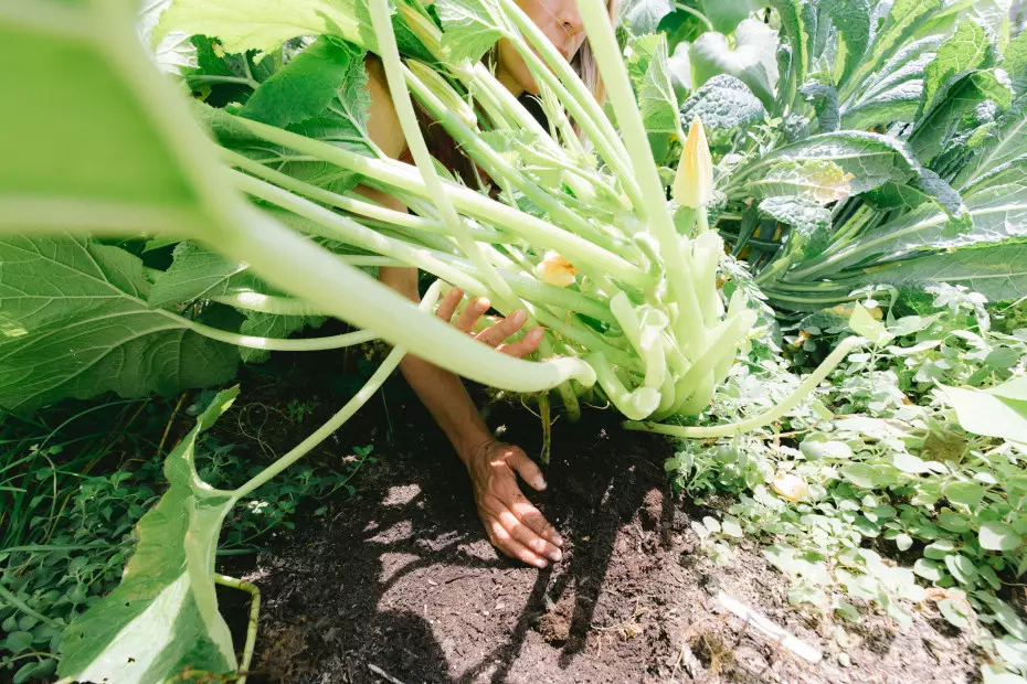 Episode 35 of the Grow Yourself Podcast: Talk Dirty to Me