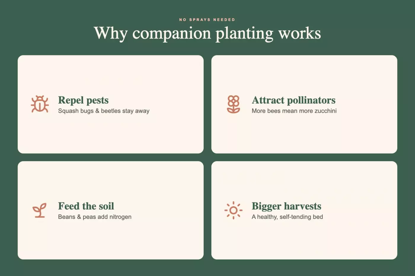 infographic of why companion planting works