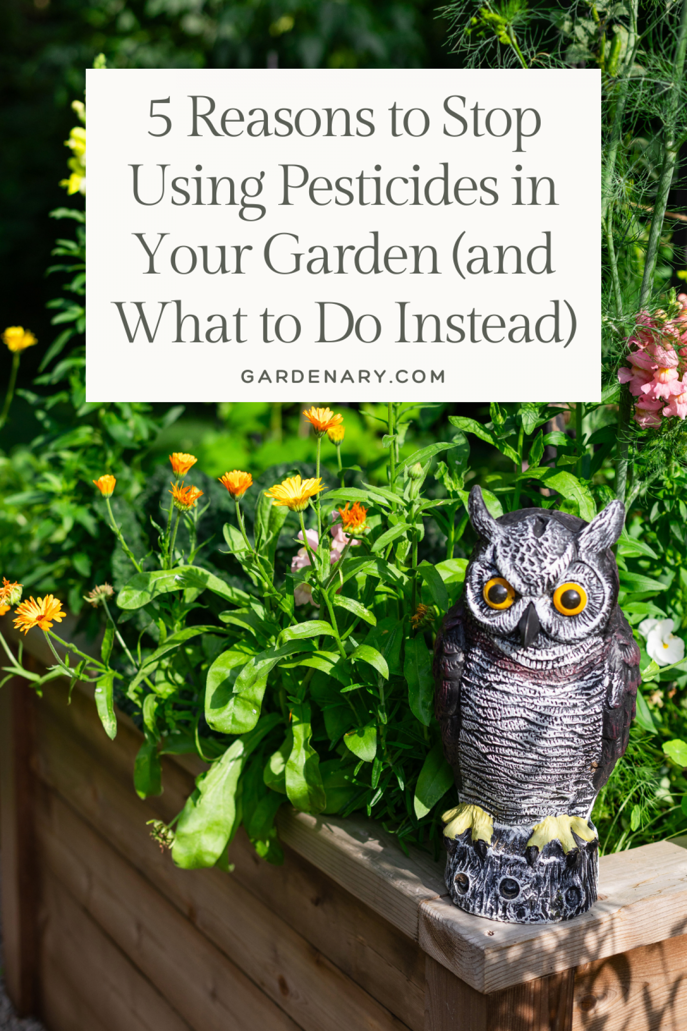 5 Reasons to Stop Using Pesticides in Your Garden (and What to Do Instead)