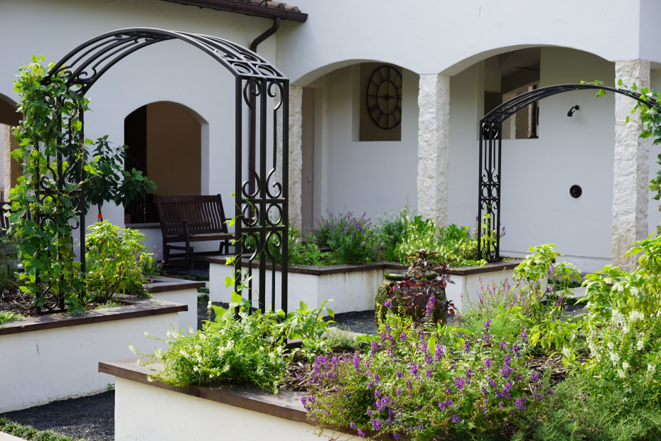 5 Questions To Ask Your Garden Consultant