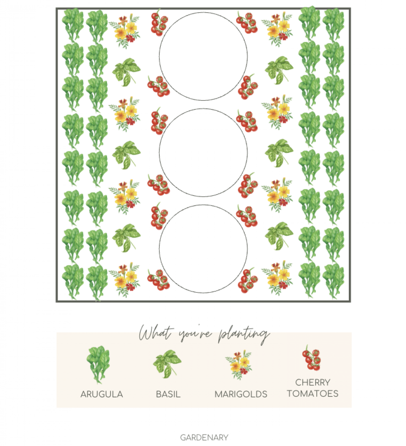 warm season planting plan