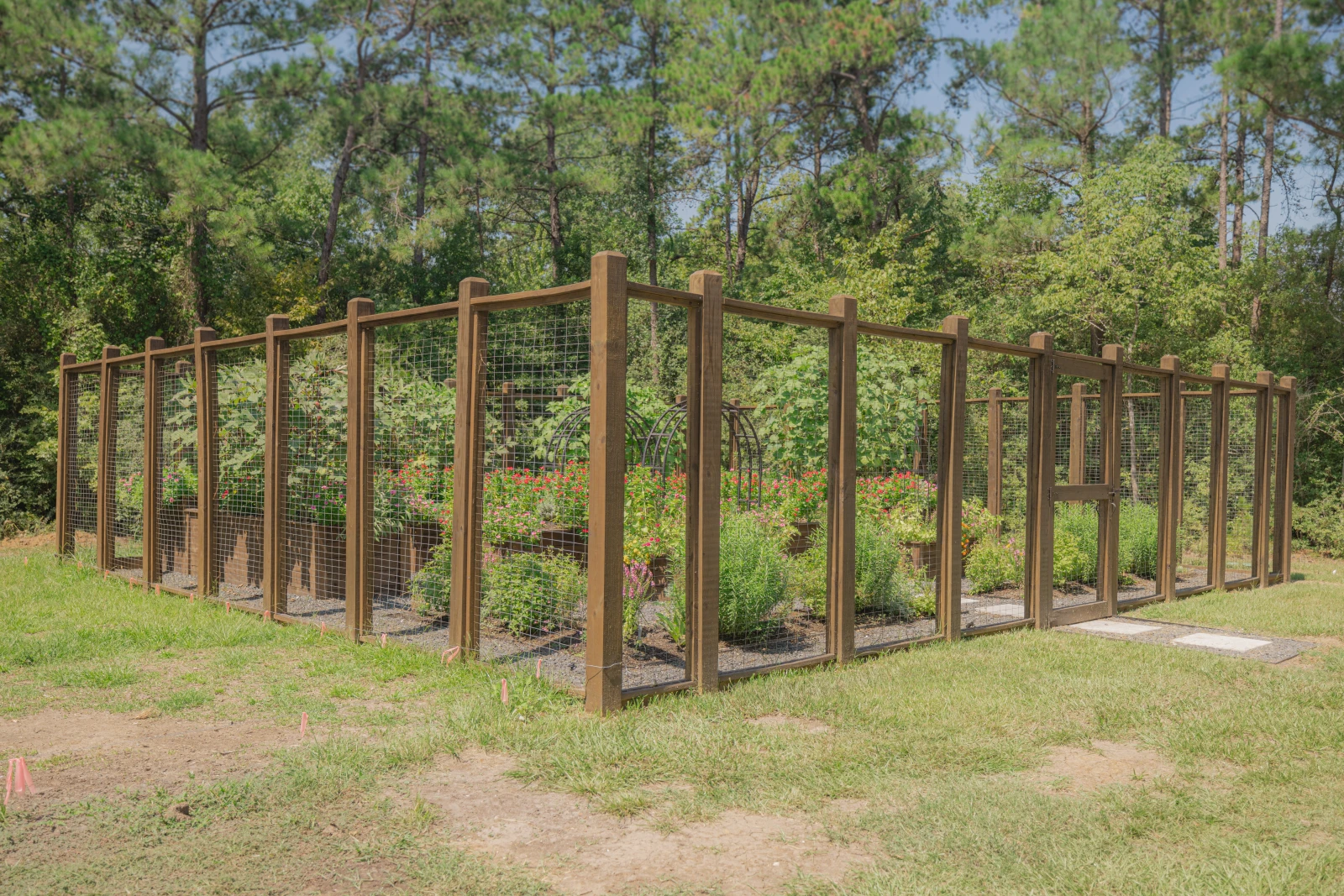 a garden inside a tall fence